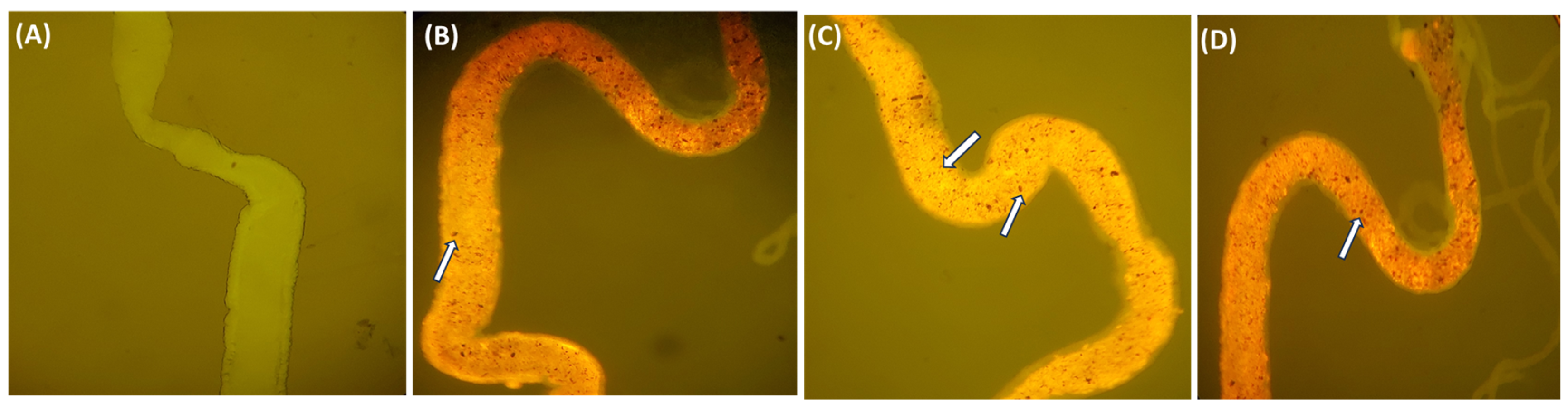 Toxics Free FullText Toxicological Profile of Polyethylene