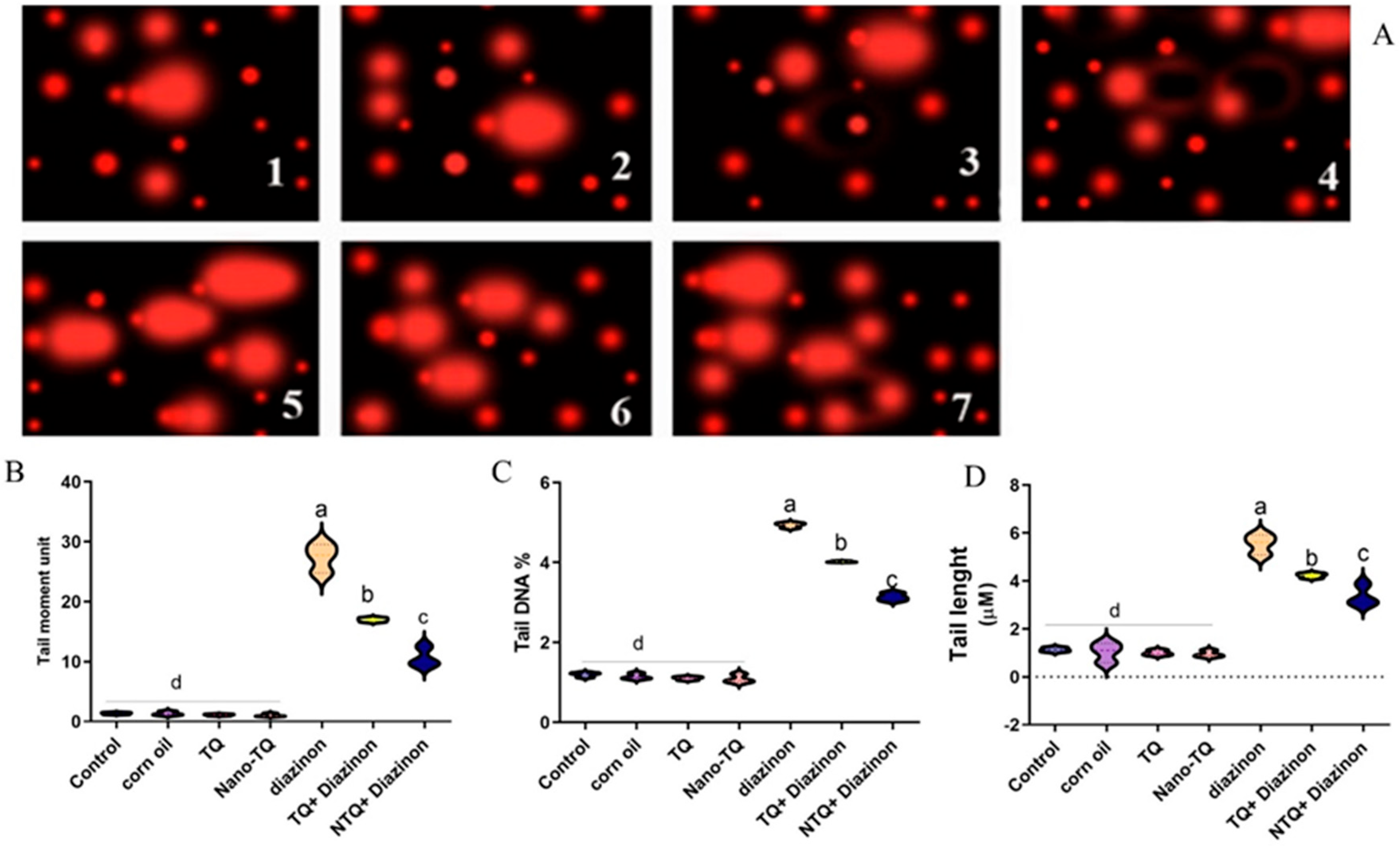 Toxics 11 00783 g006