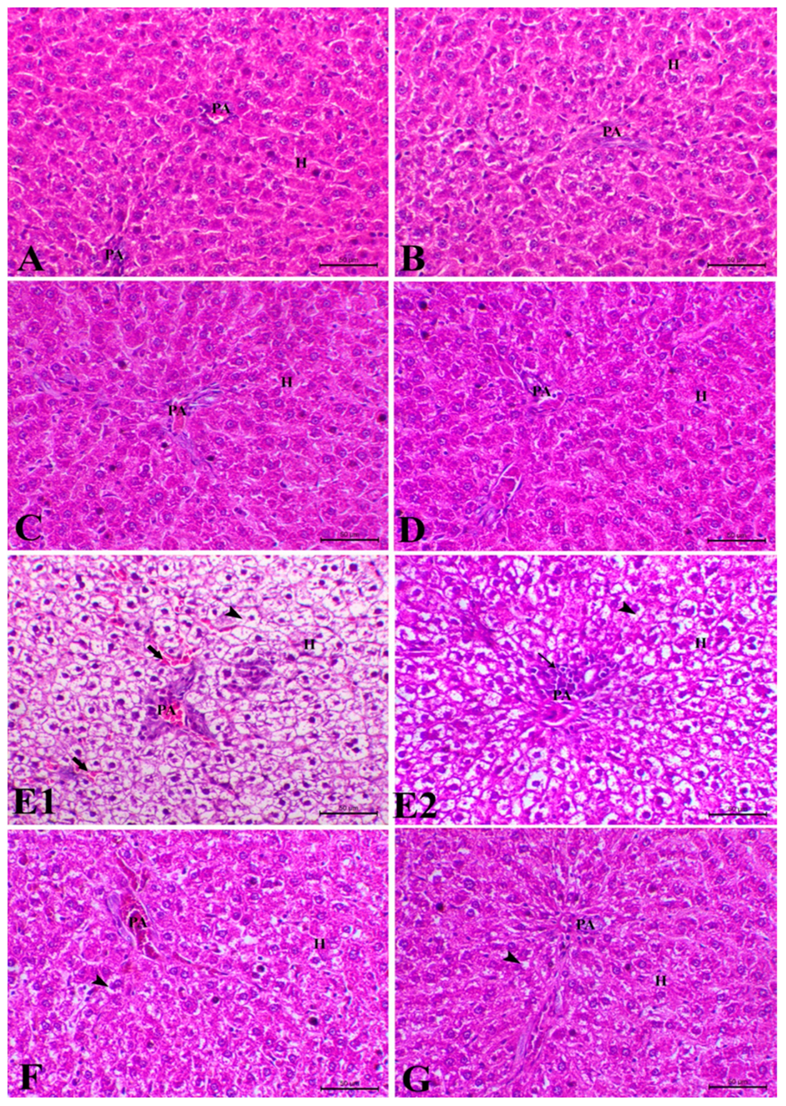 Toxics 11 00783 g007