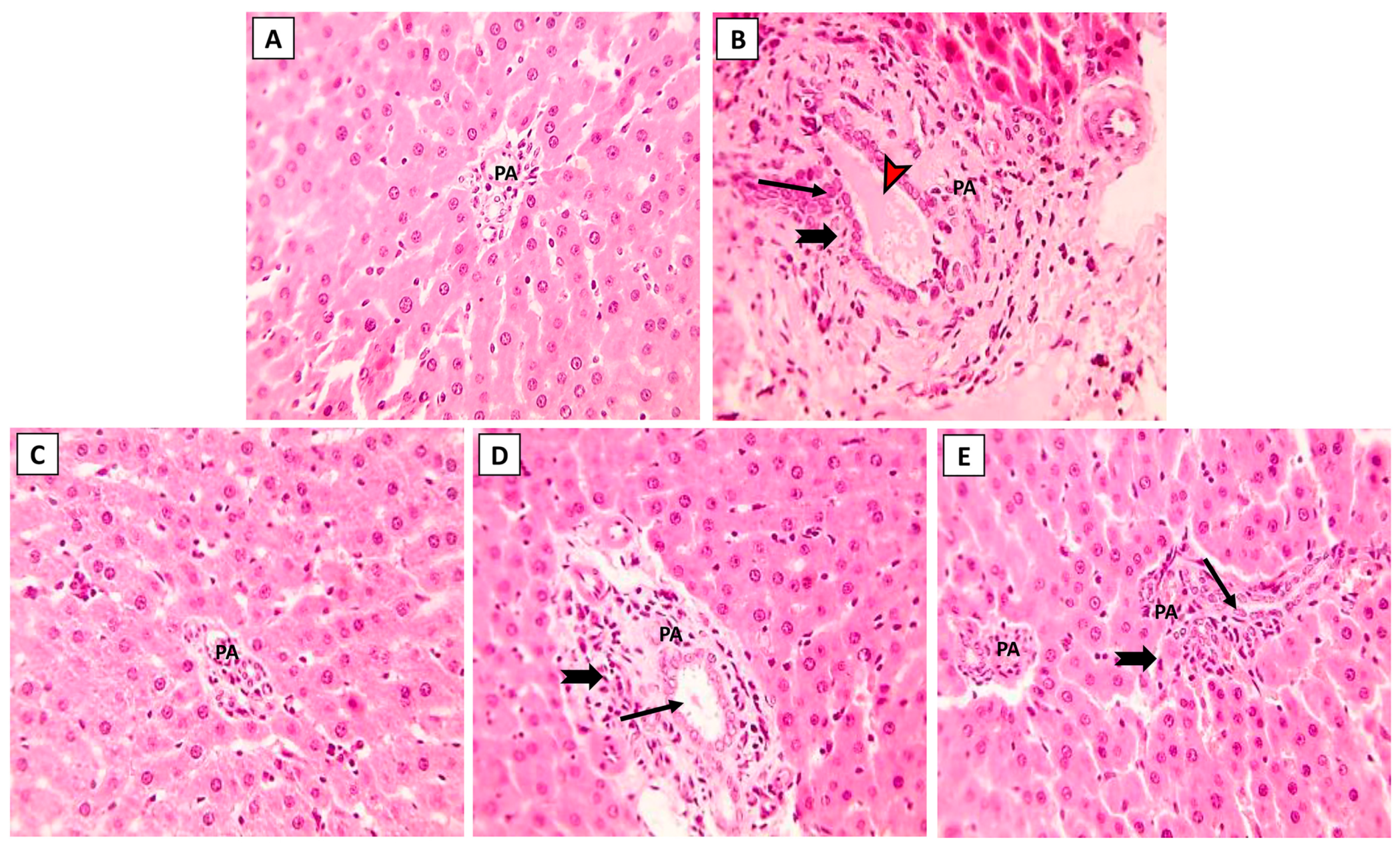 Toxics 11 00784 g003