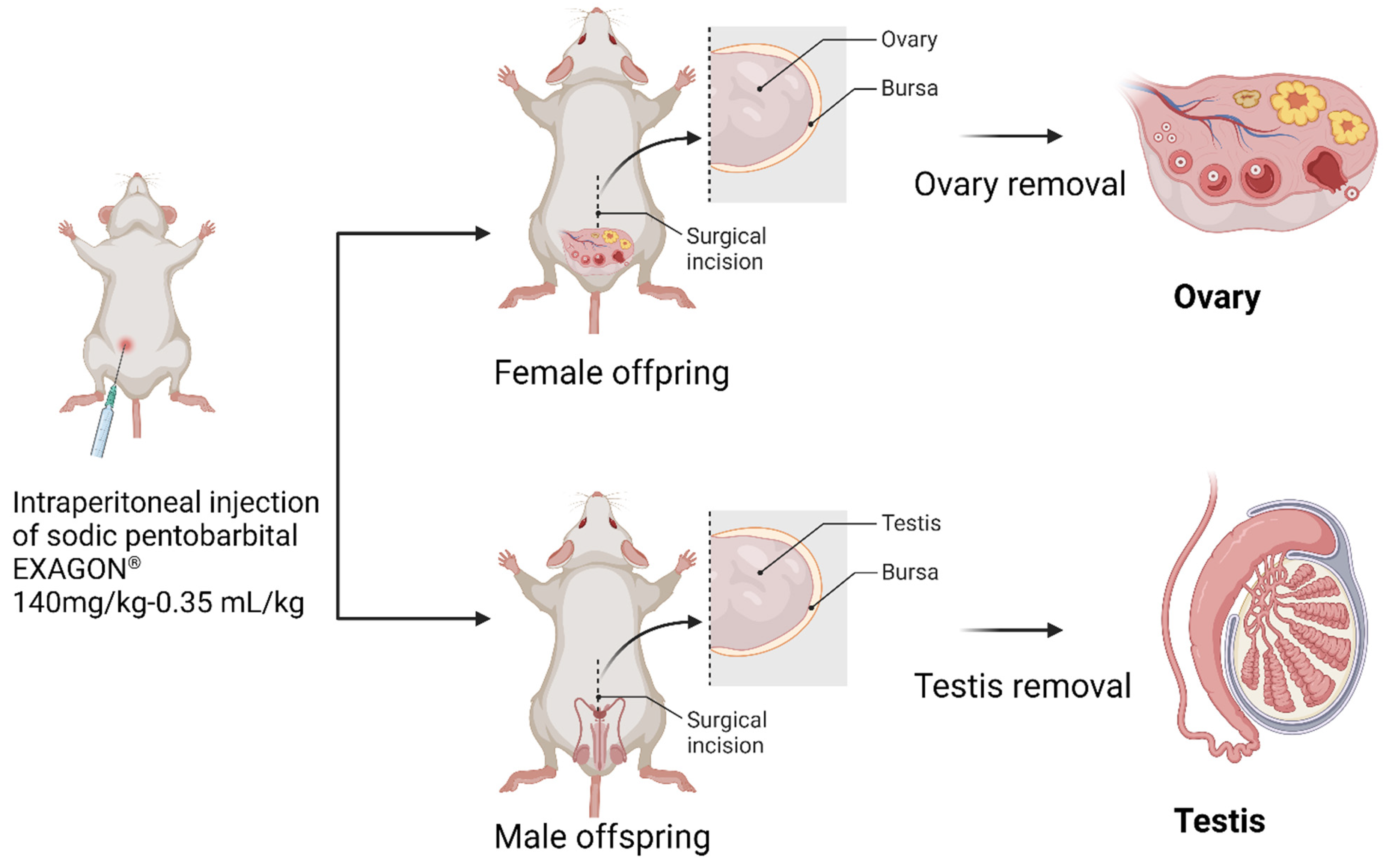 Toxics 11 00789 g002 Toxics 11 00789 g002