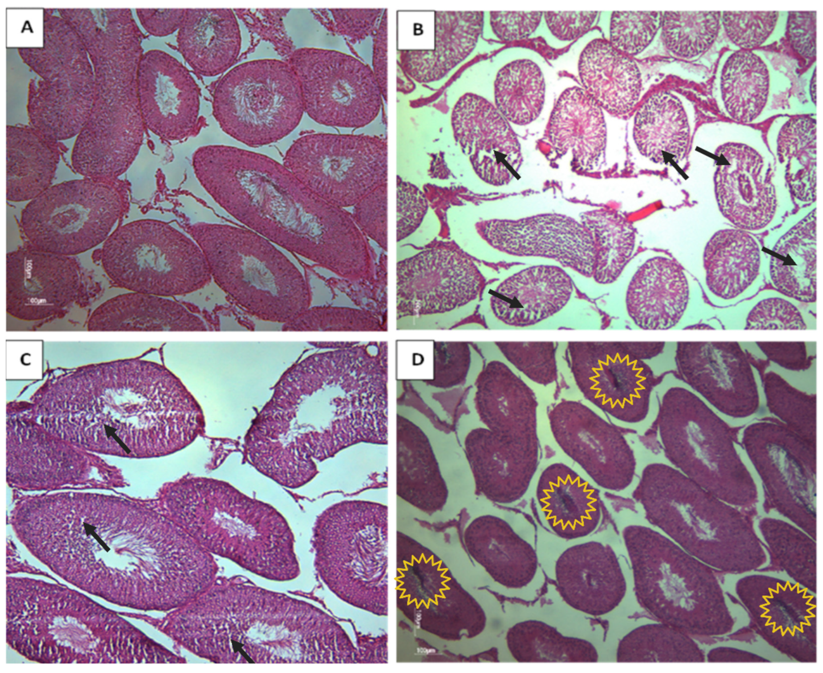Toxics 11 00789 g007 Toxics 11 00789 g007