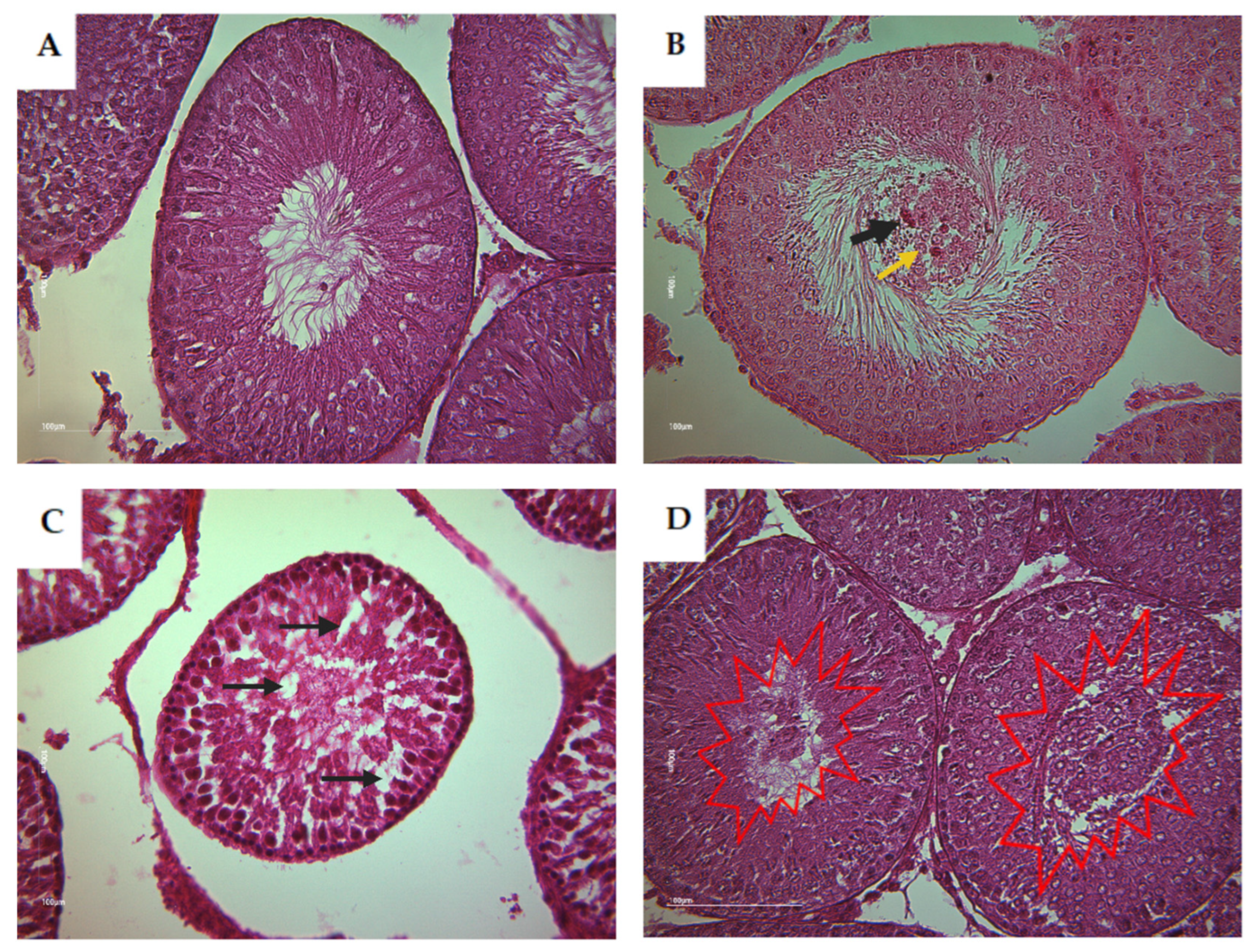 Toxics 11 00789 g008 Toxics 11 00789 g008