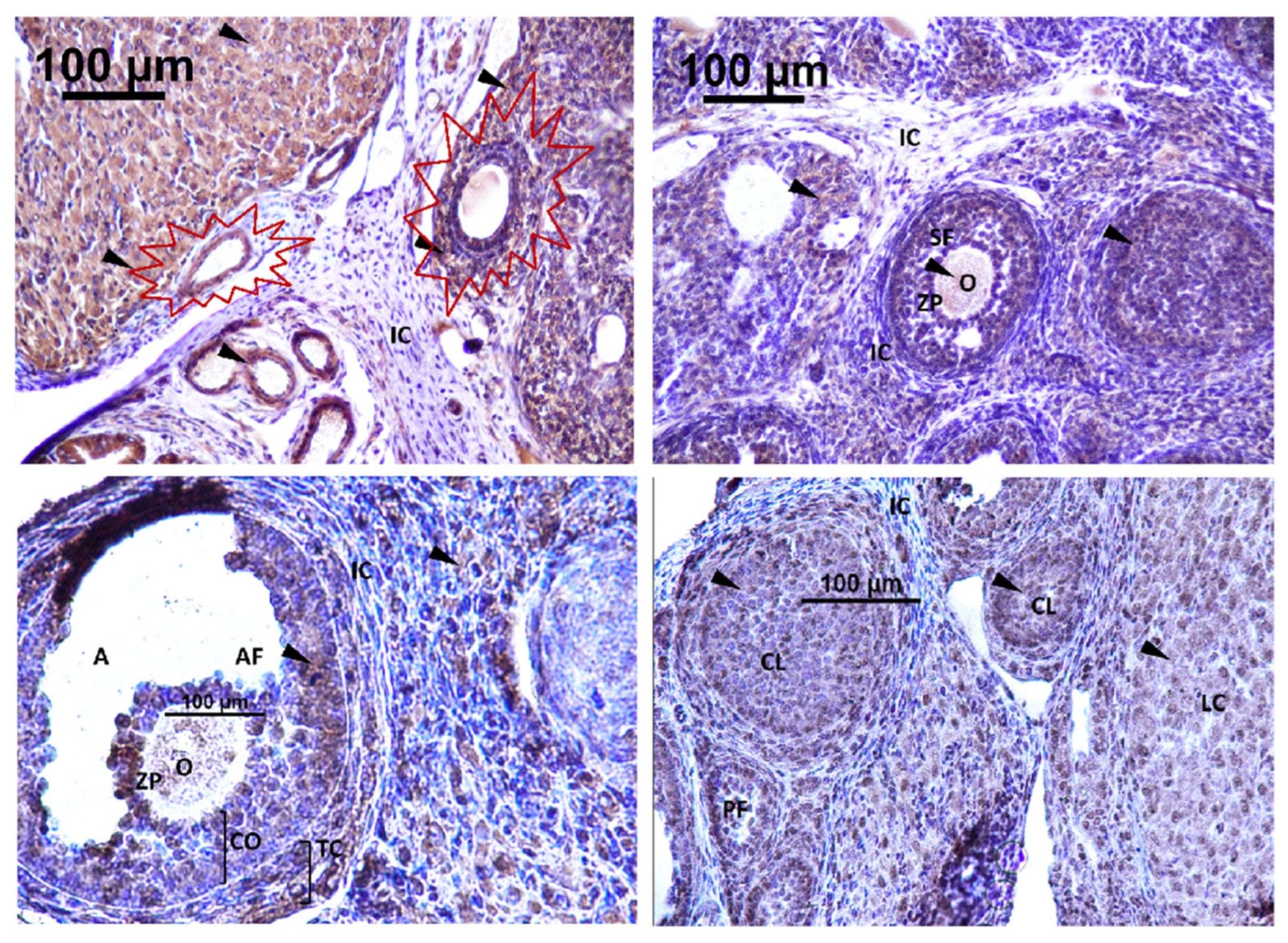 Toxics 11 00789 g009 Toxics 11 00789 g009