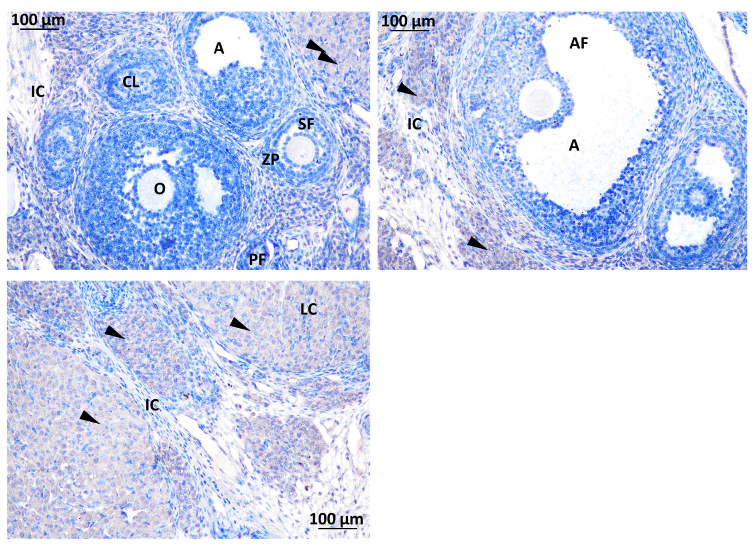 Toxics 11 00789 g010 Toxics 11 00789 g010