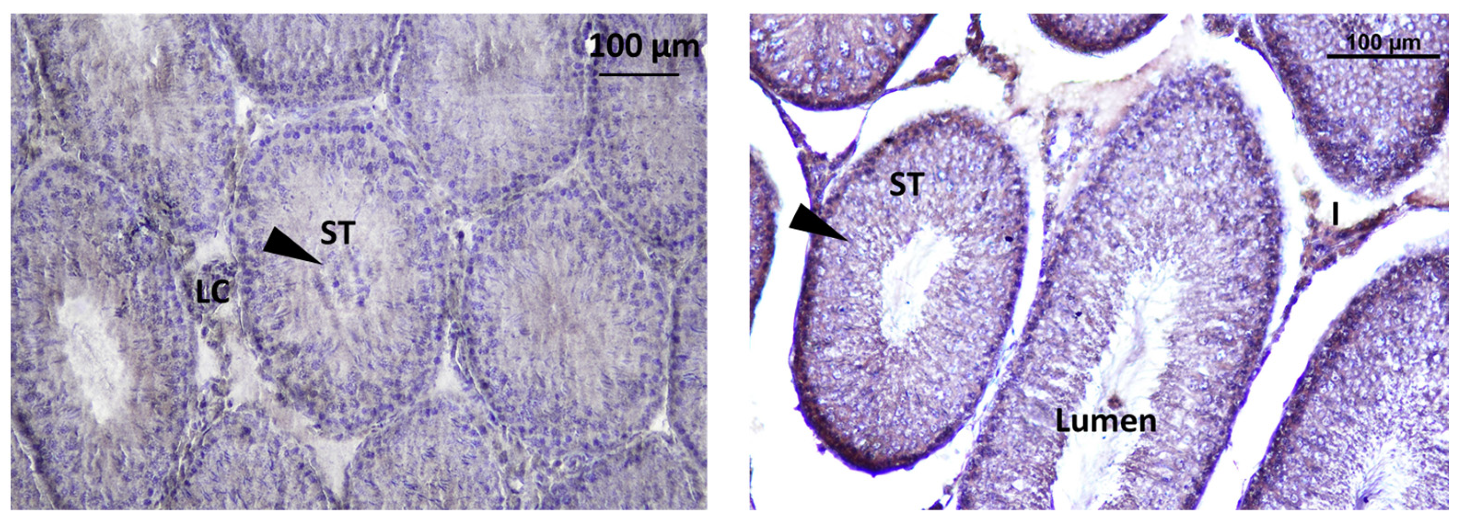 Toxics 11 00789 g012 Toxics 11 00789 g012