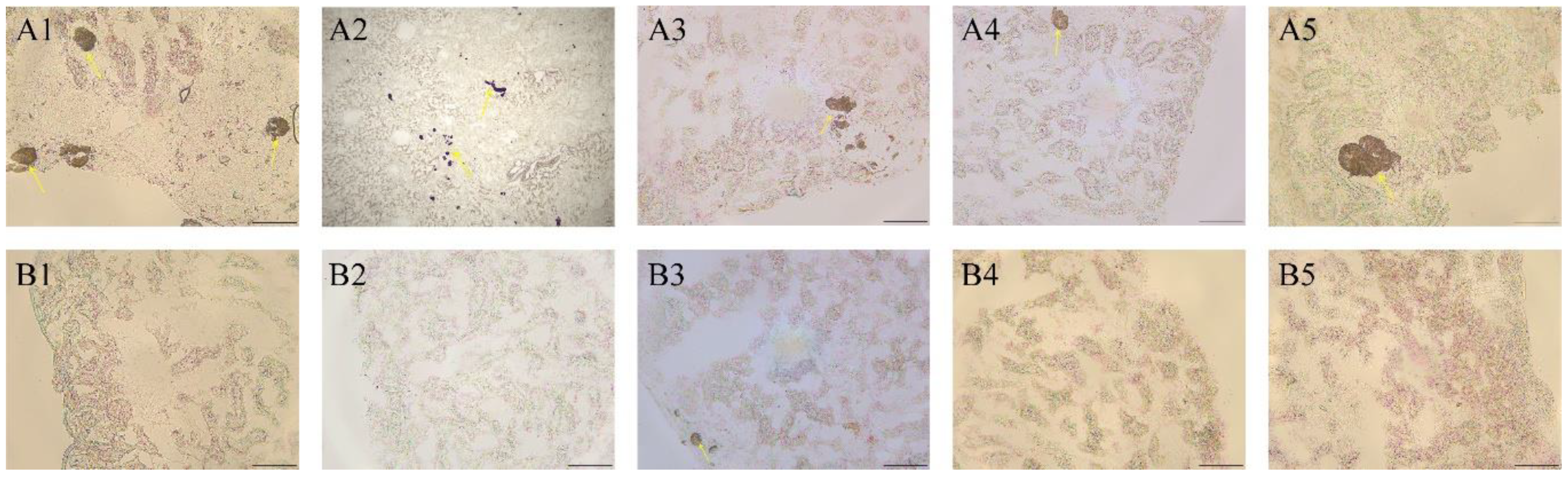 Toxics 11 00799 g004