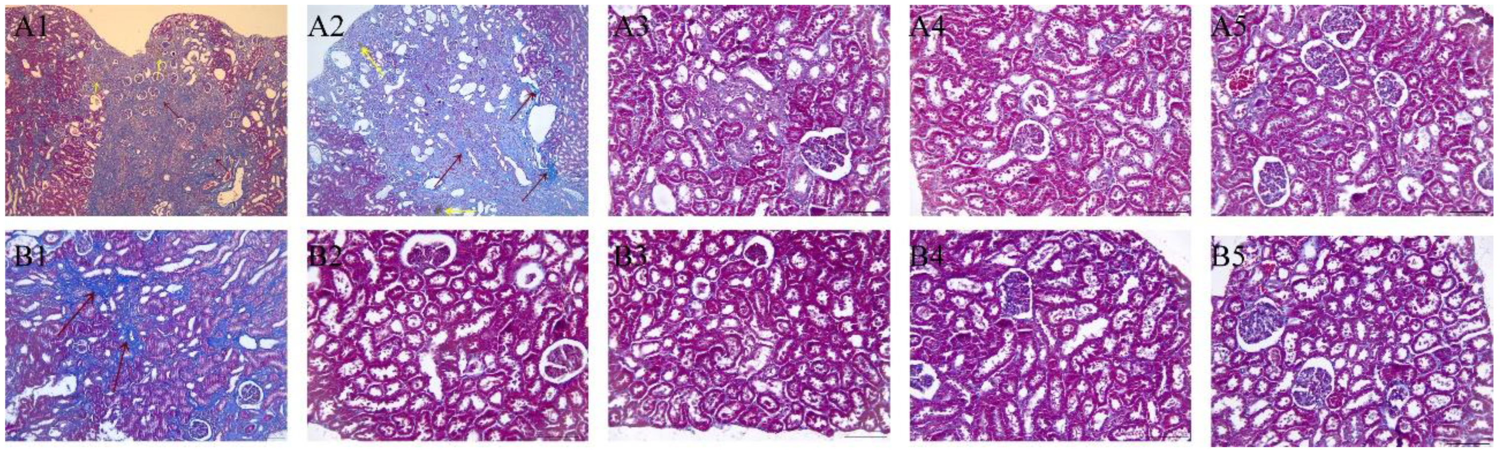 Toxics 11 00799 g006