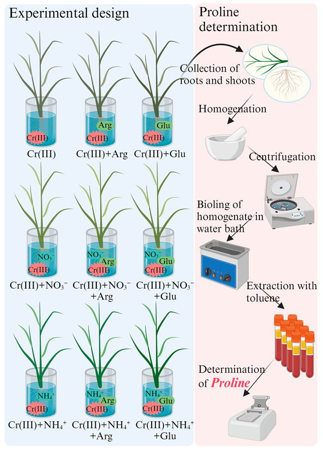 Toxics 11 00803 g001