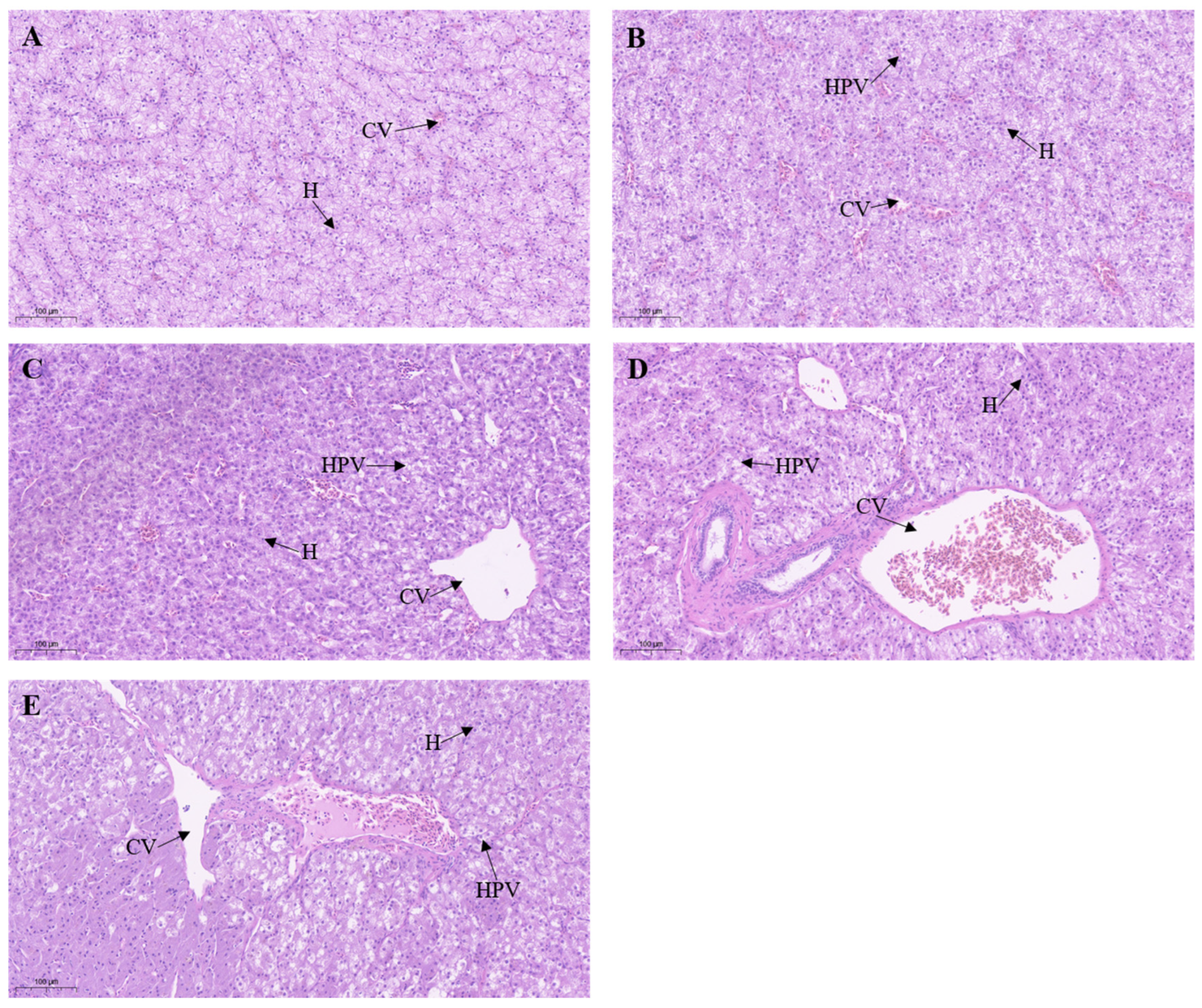 Toxics 11 00811 g004