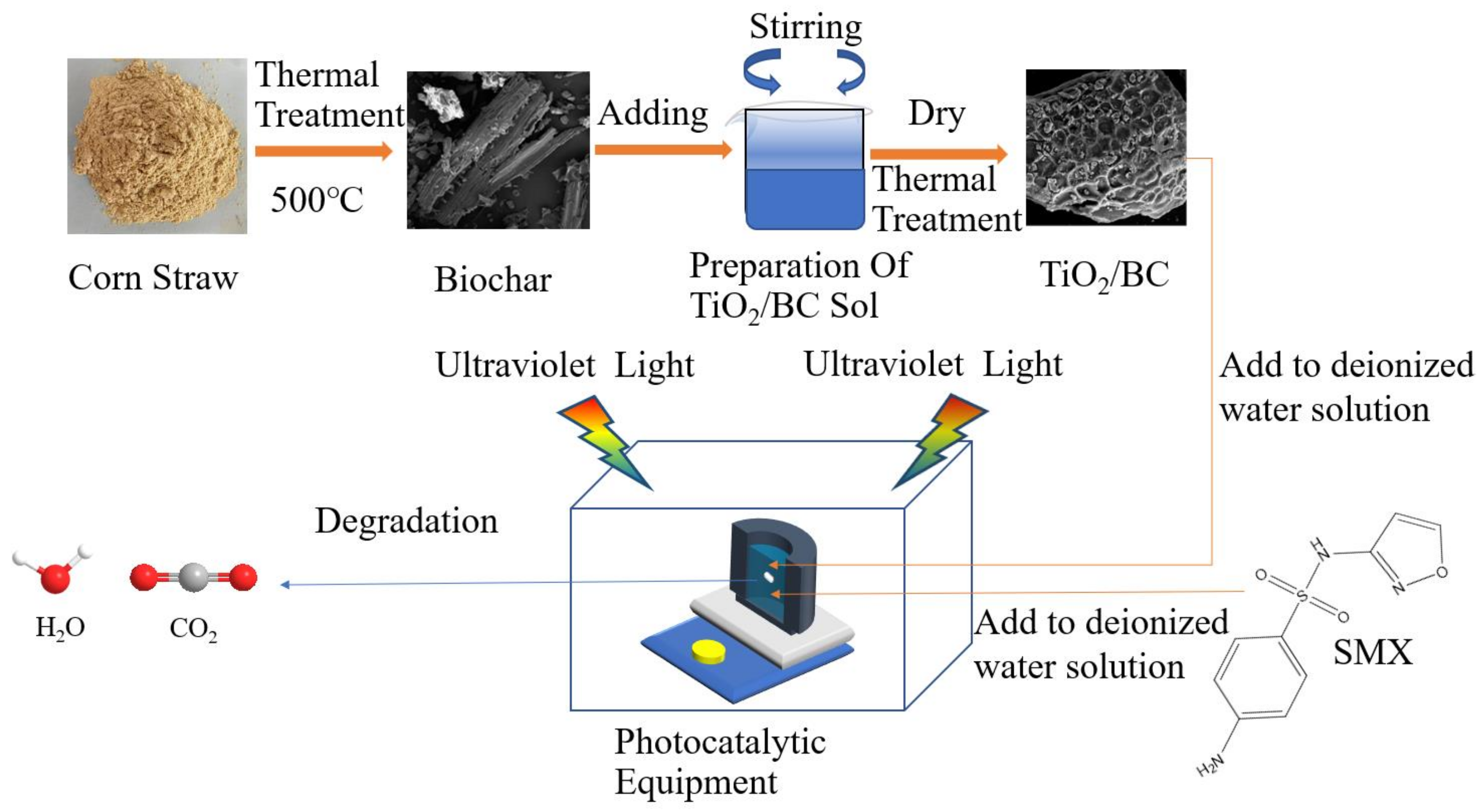 Toxics 11 00818 g001