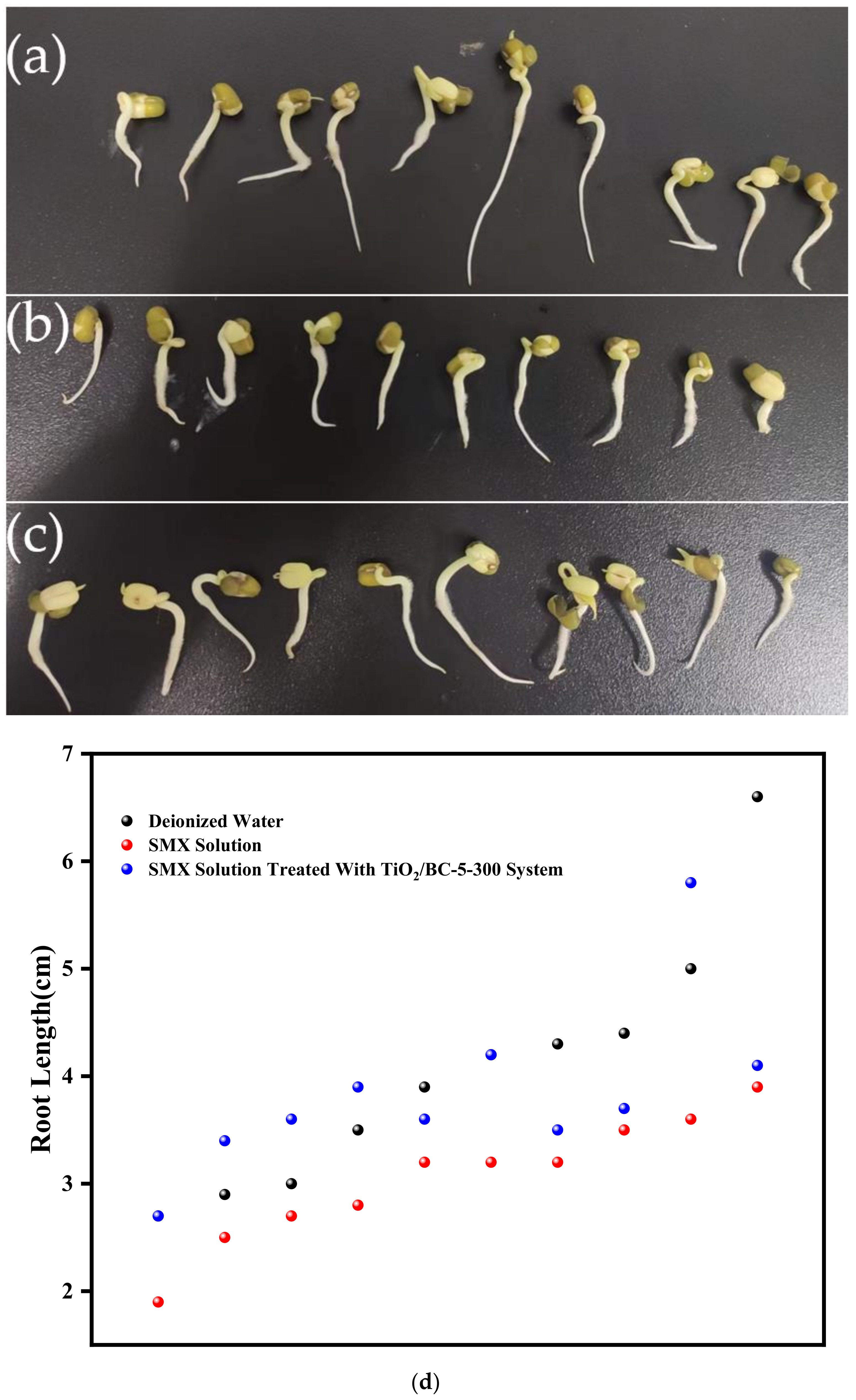 Toxics 11 00818 g009