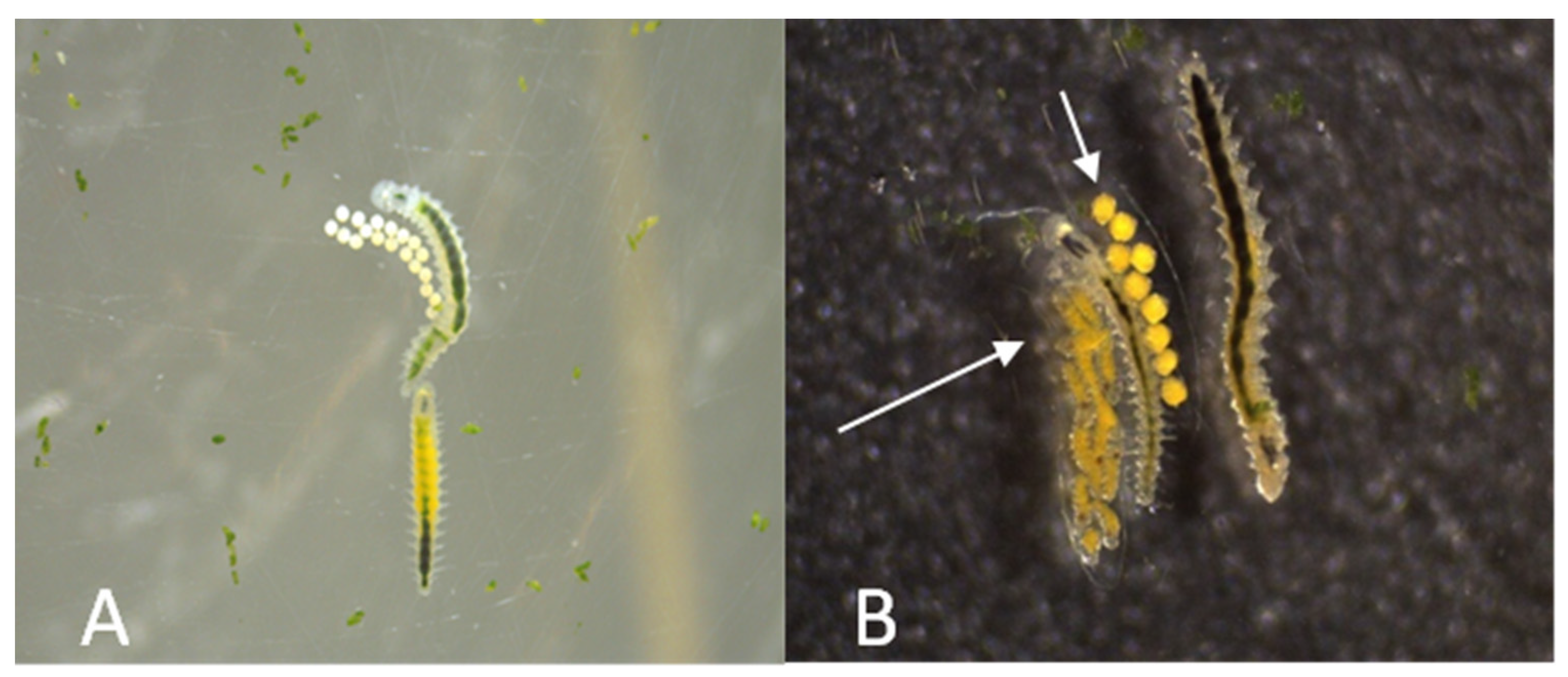 Toxics 11 00827 g002