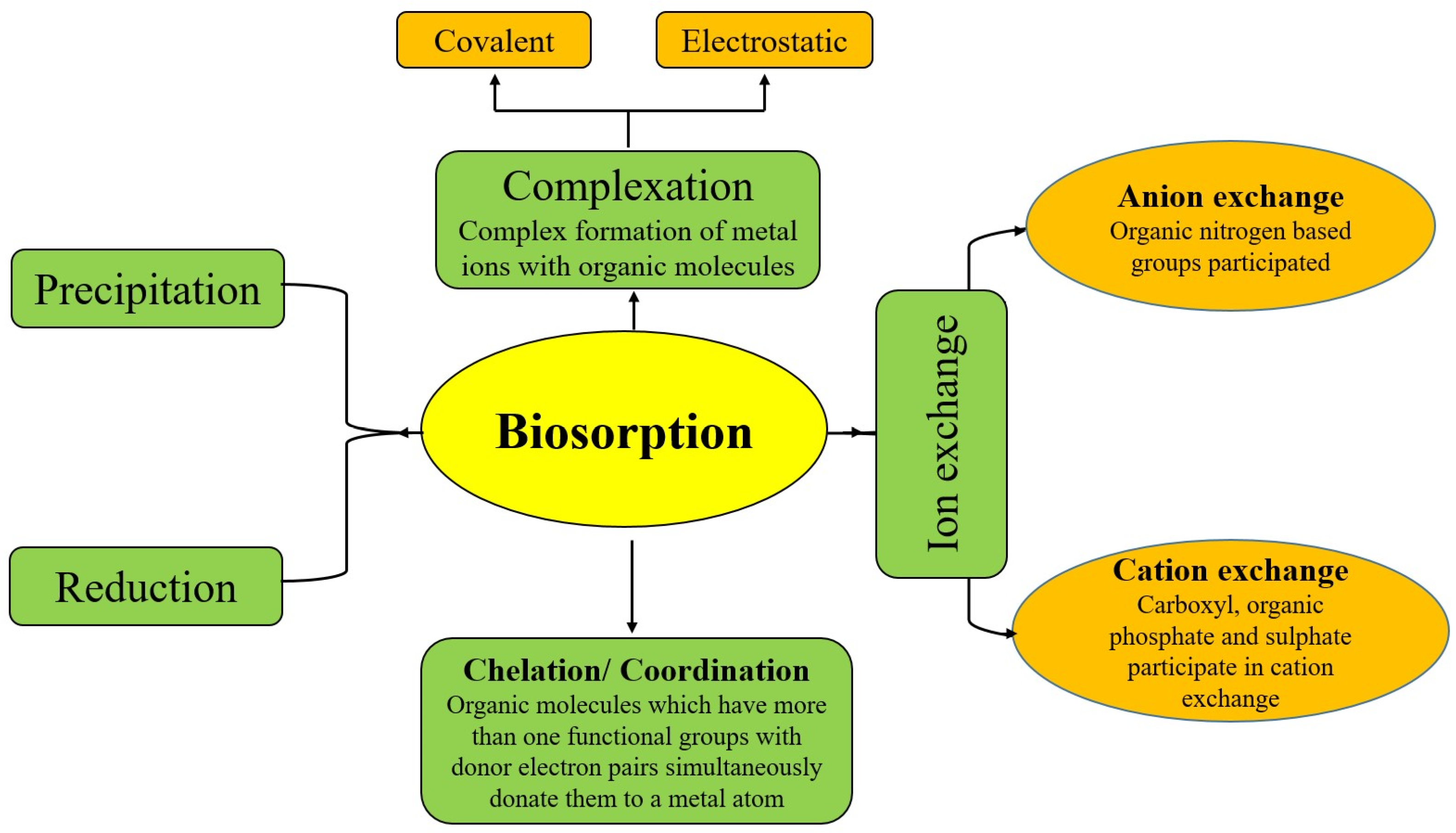 Toxics 11 00828 g002