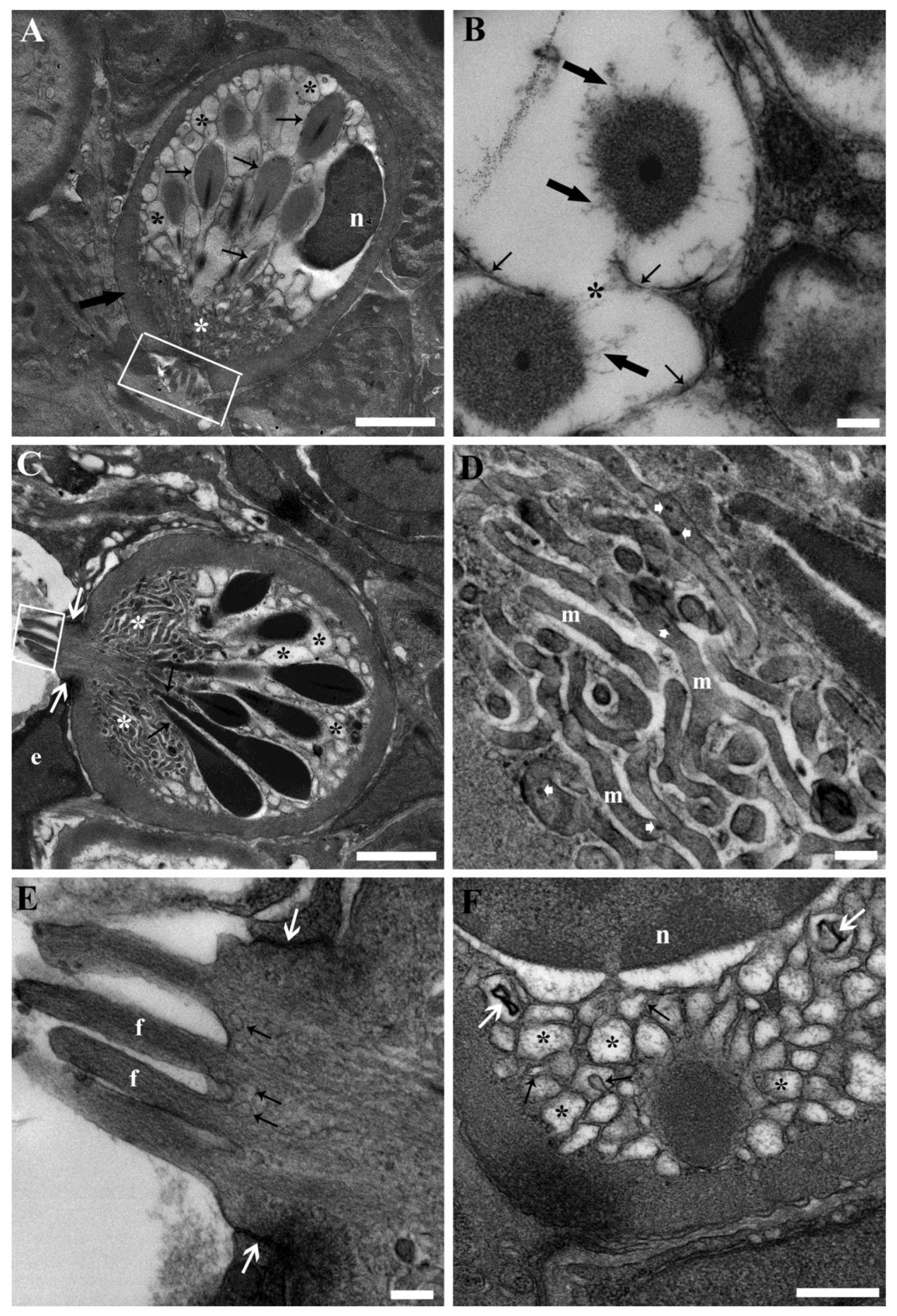 Toxics 11 00831 g003