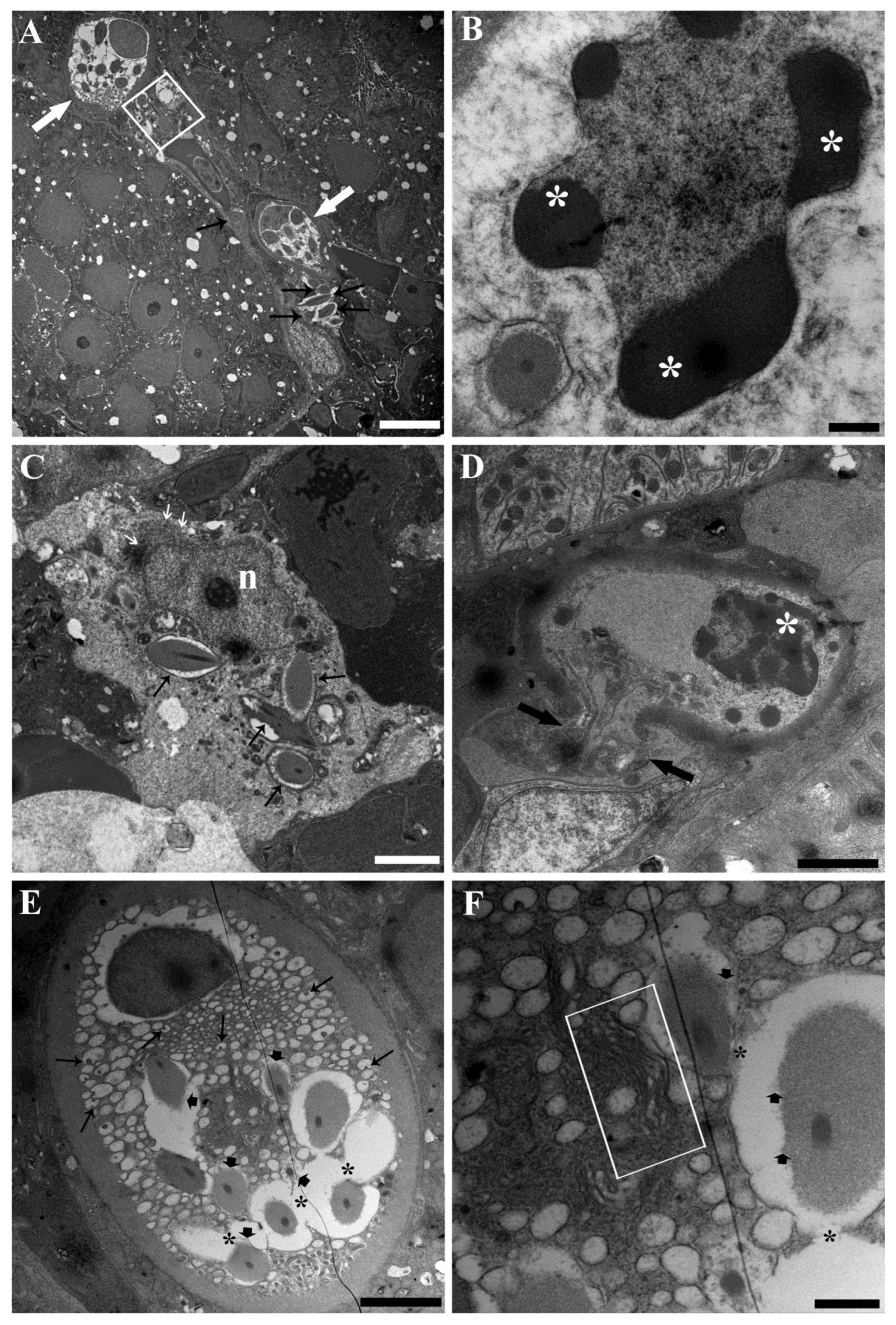 Toxics 11 00831 g004