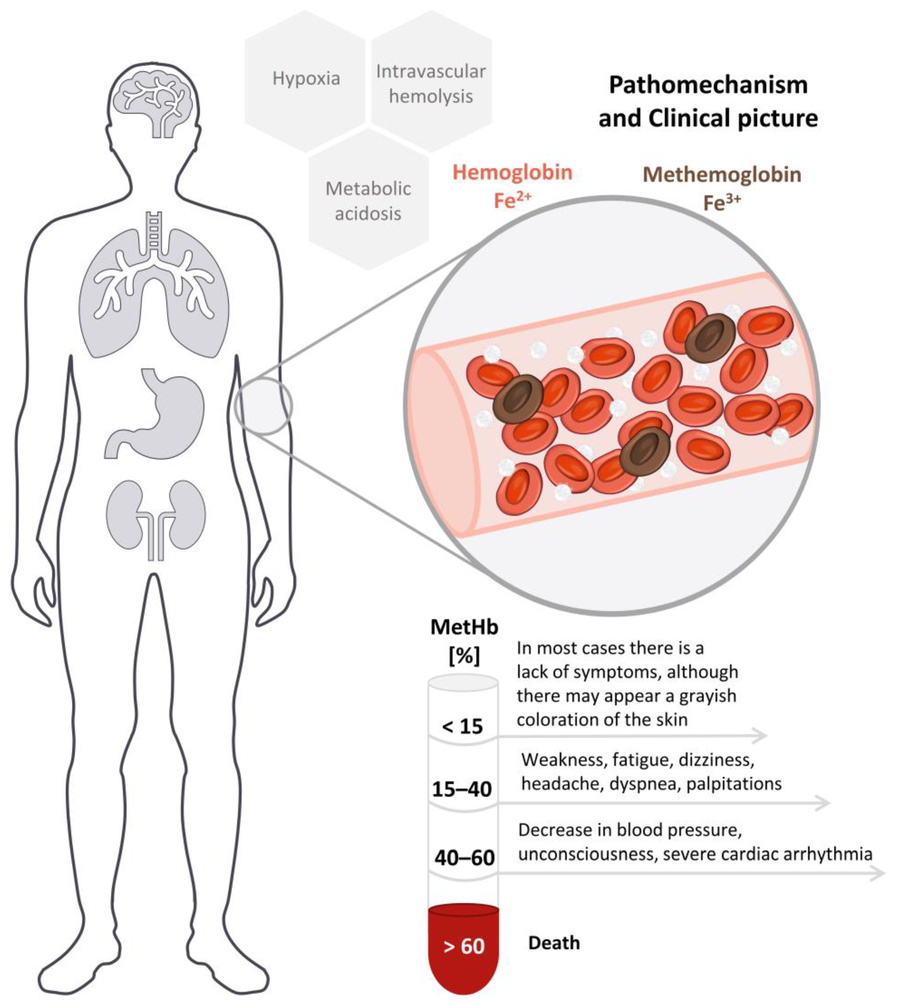 Toxics 11 00832 g001