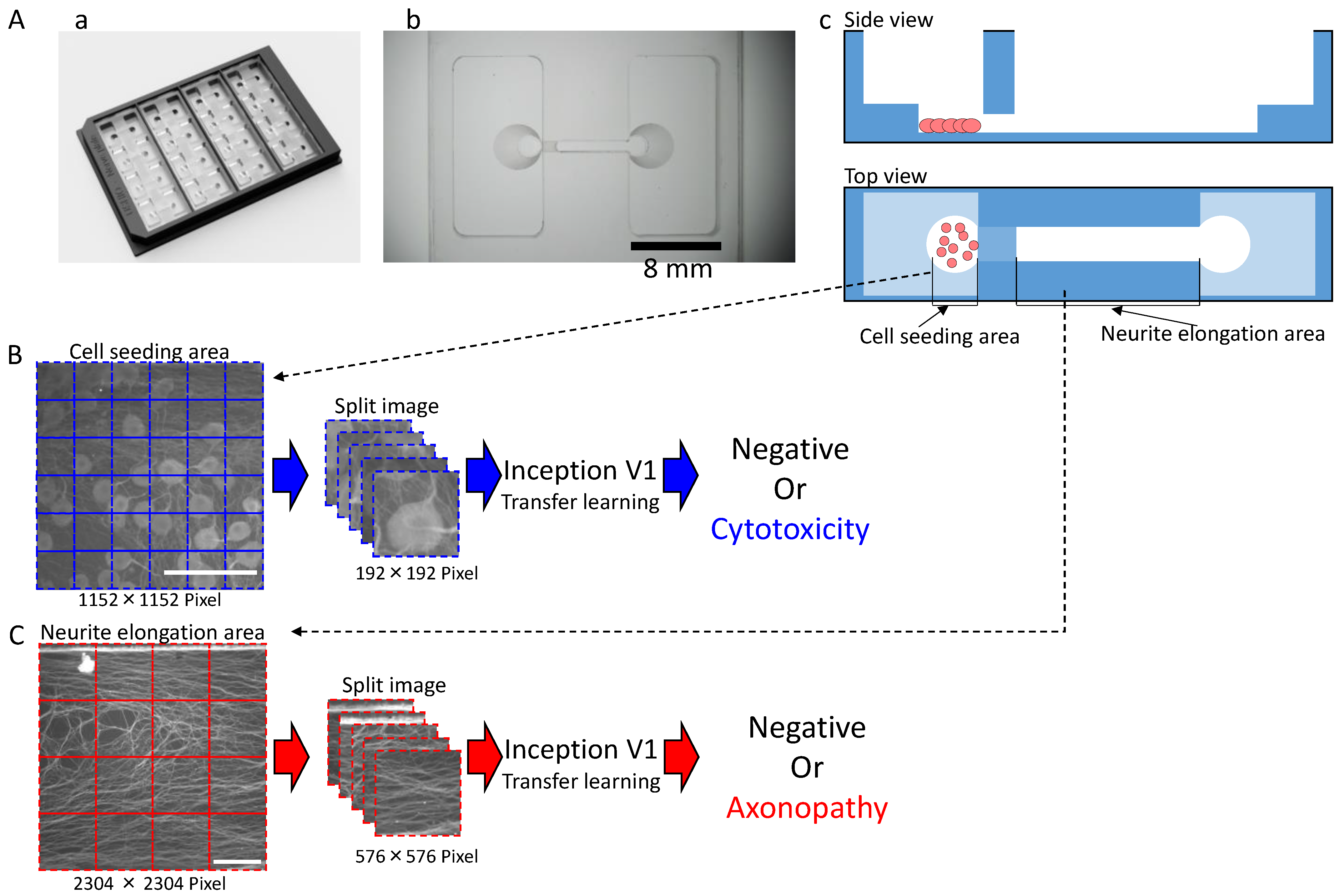 Toxics 11 00848 g001