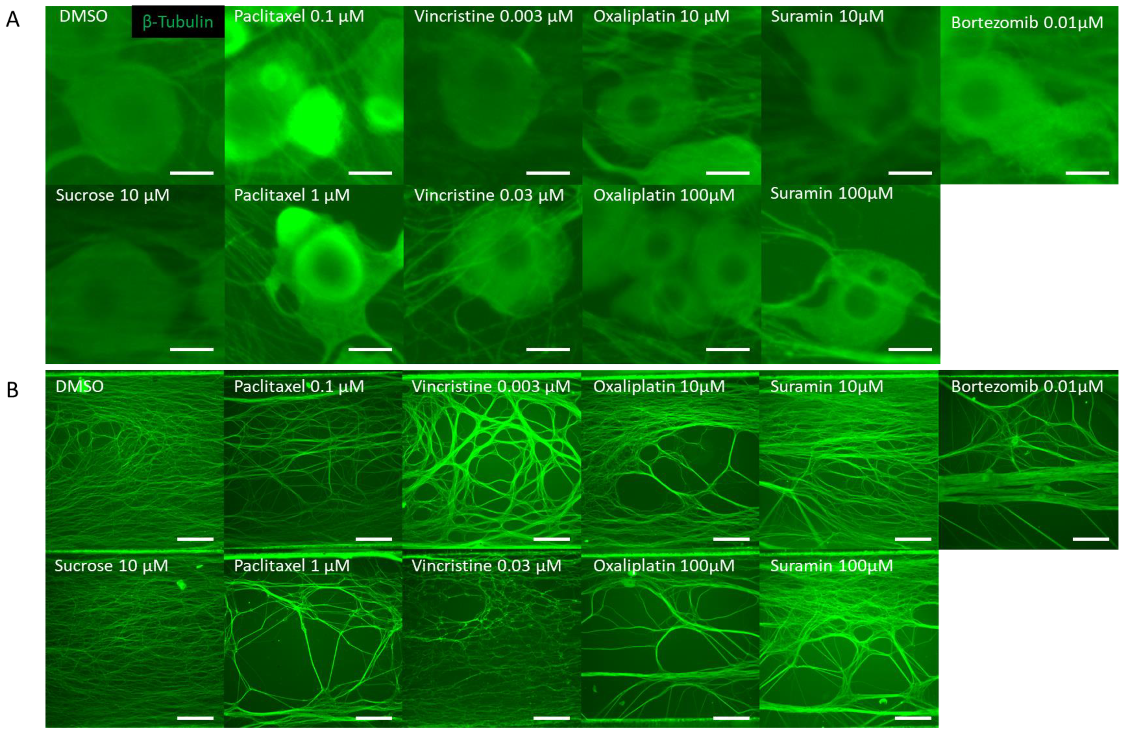 Toxics 11 00848 g002