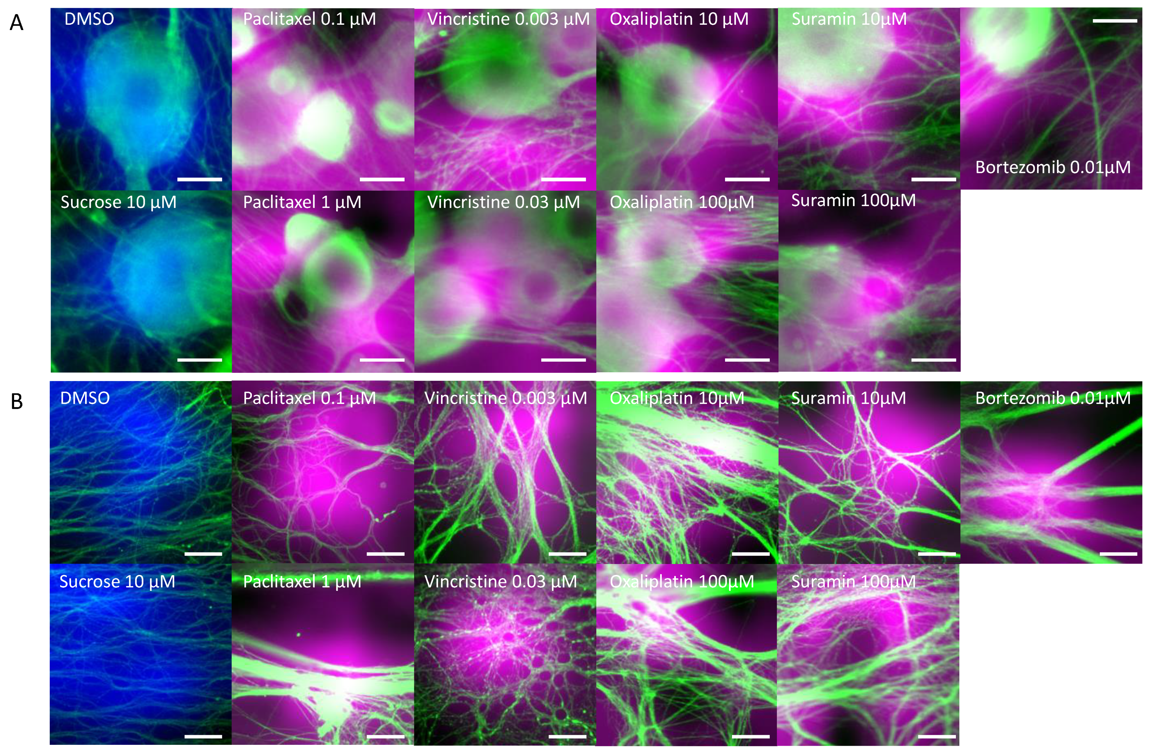 Toxics 11 00848 g005