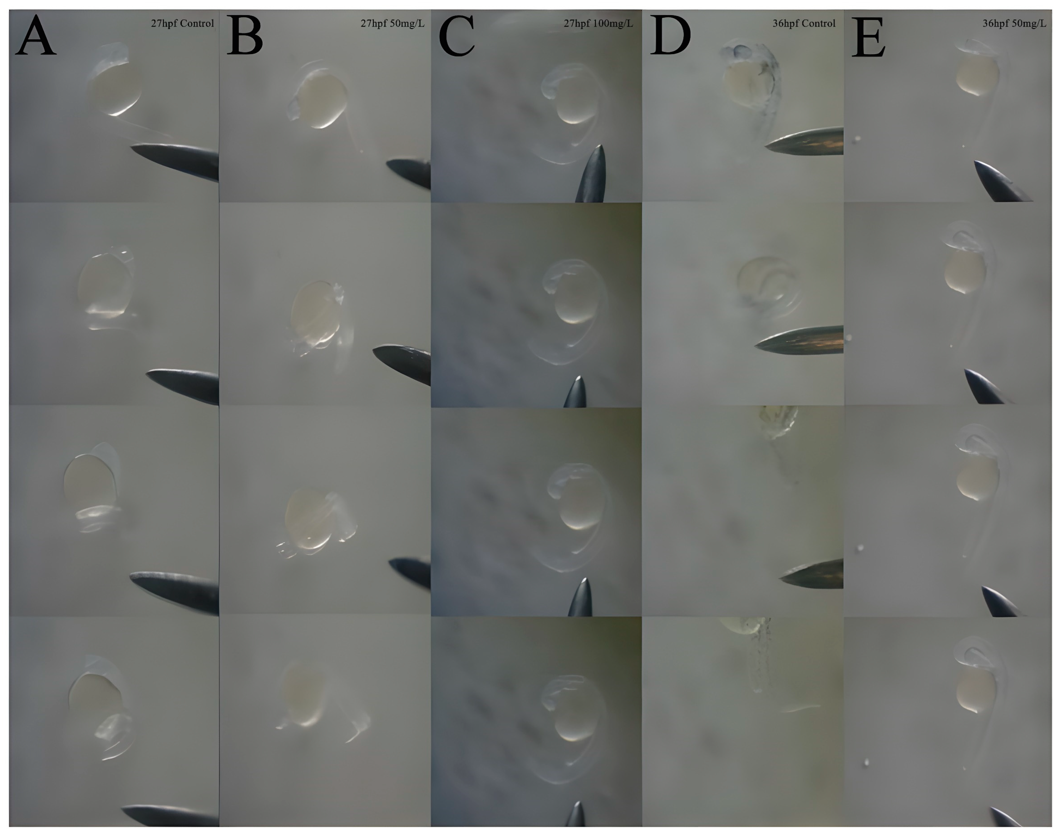 Toxics 11 00853 g003