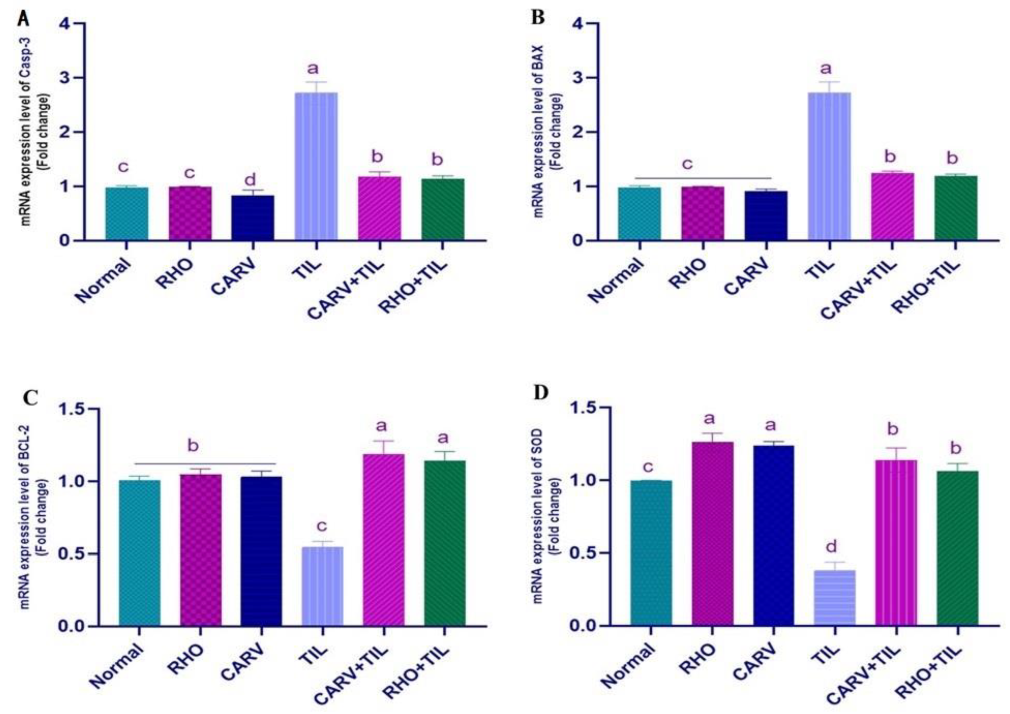 Toxics 11 00857 g004
