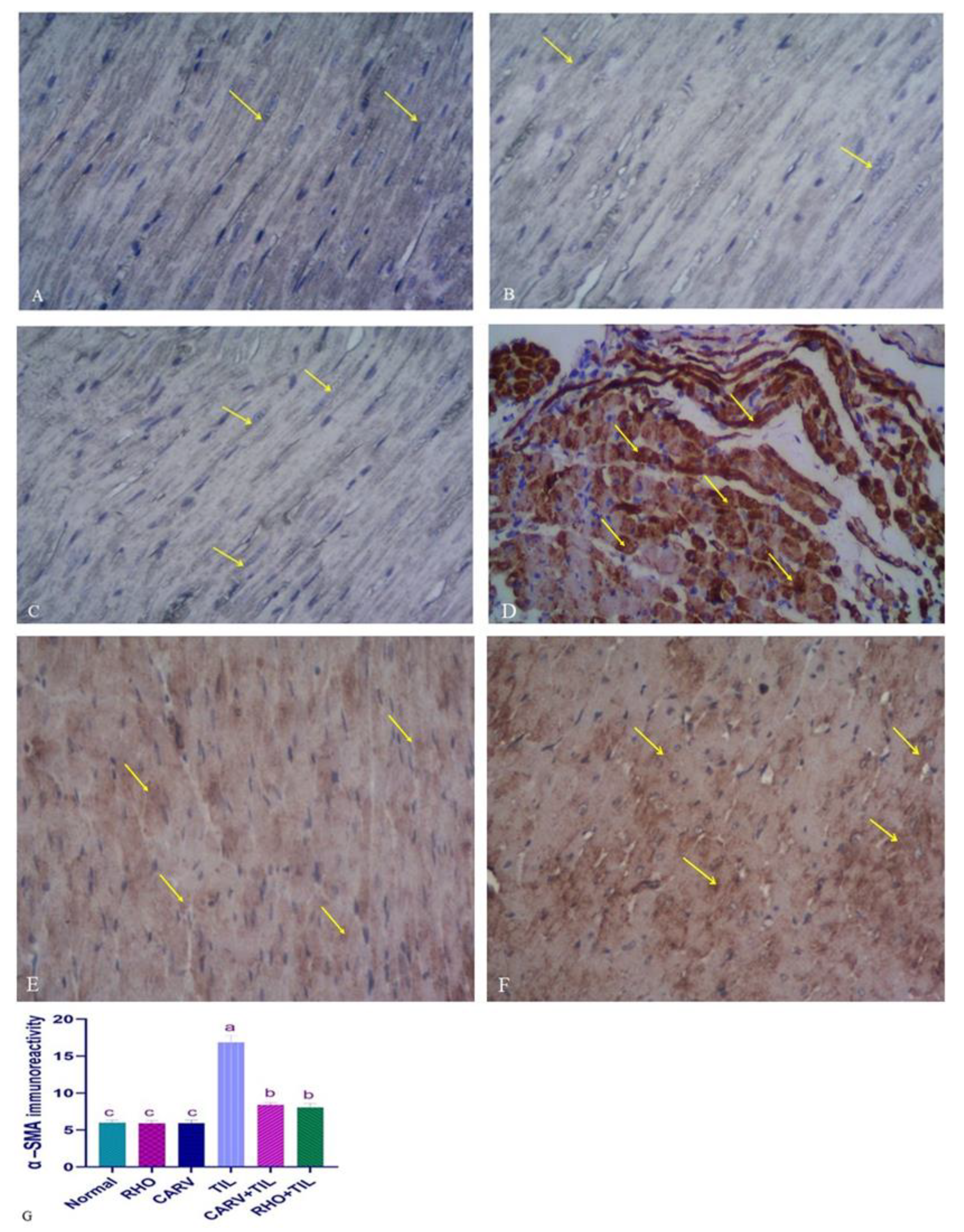 Toxics 11 00857 g007