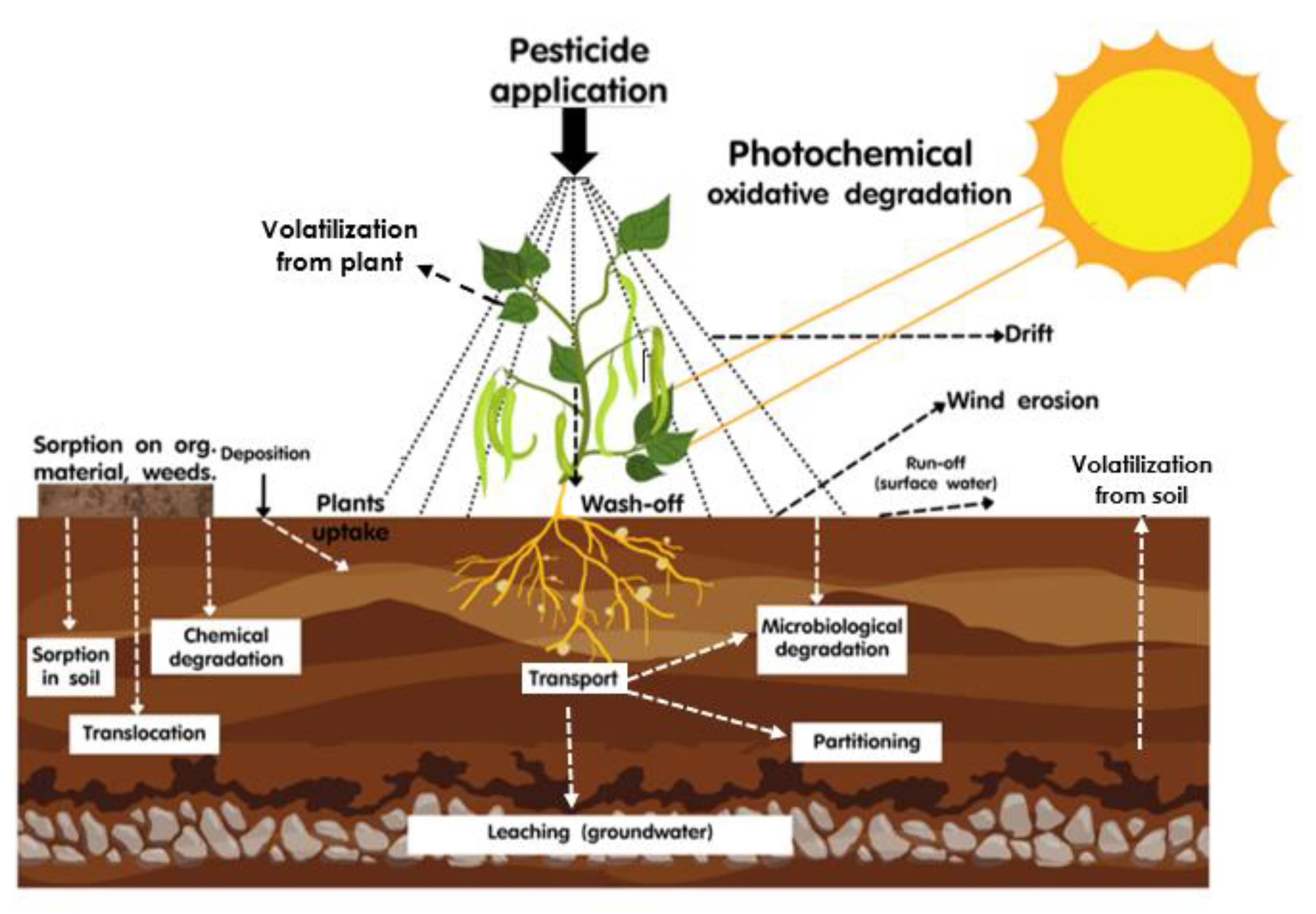 Toxics 11 00858 g001