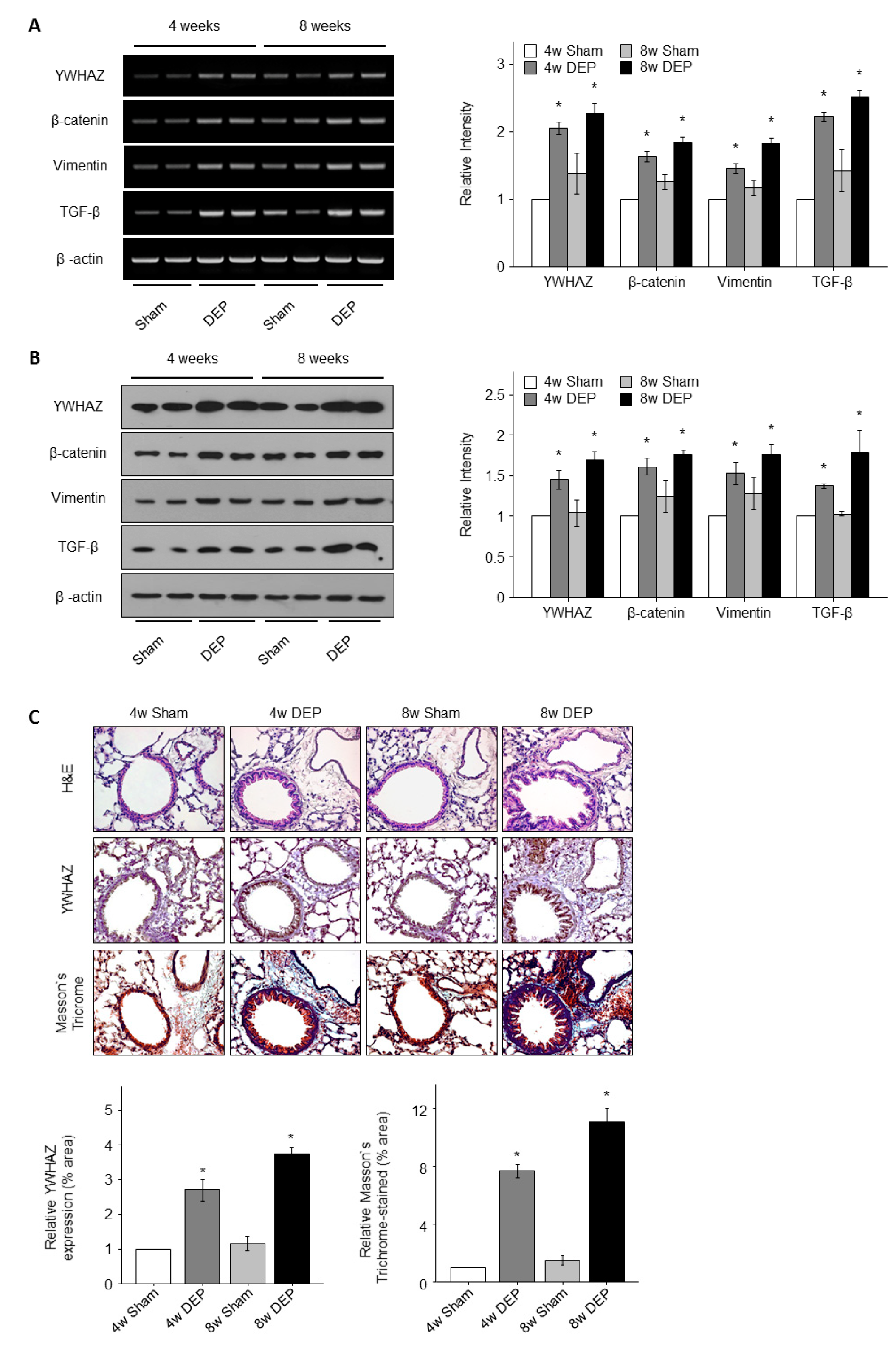 Toxics 11 00859 g010