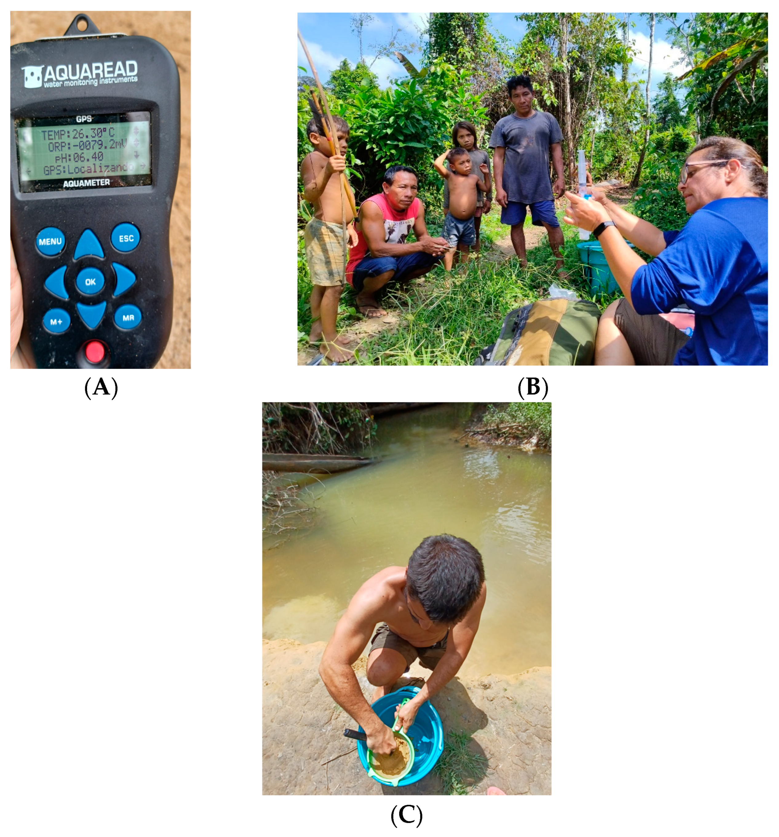 Toxics 11 00861 g002