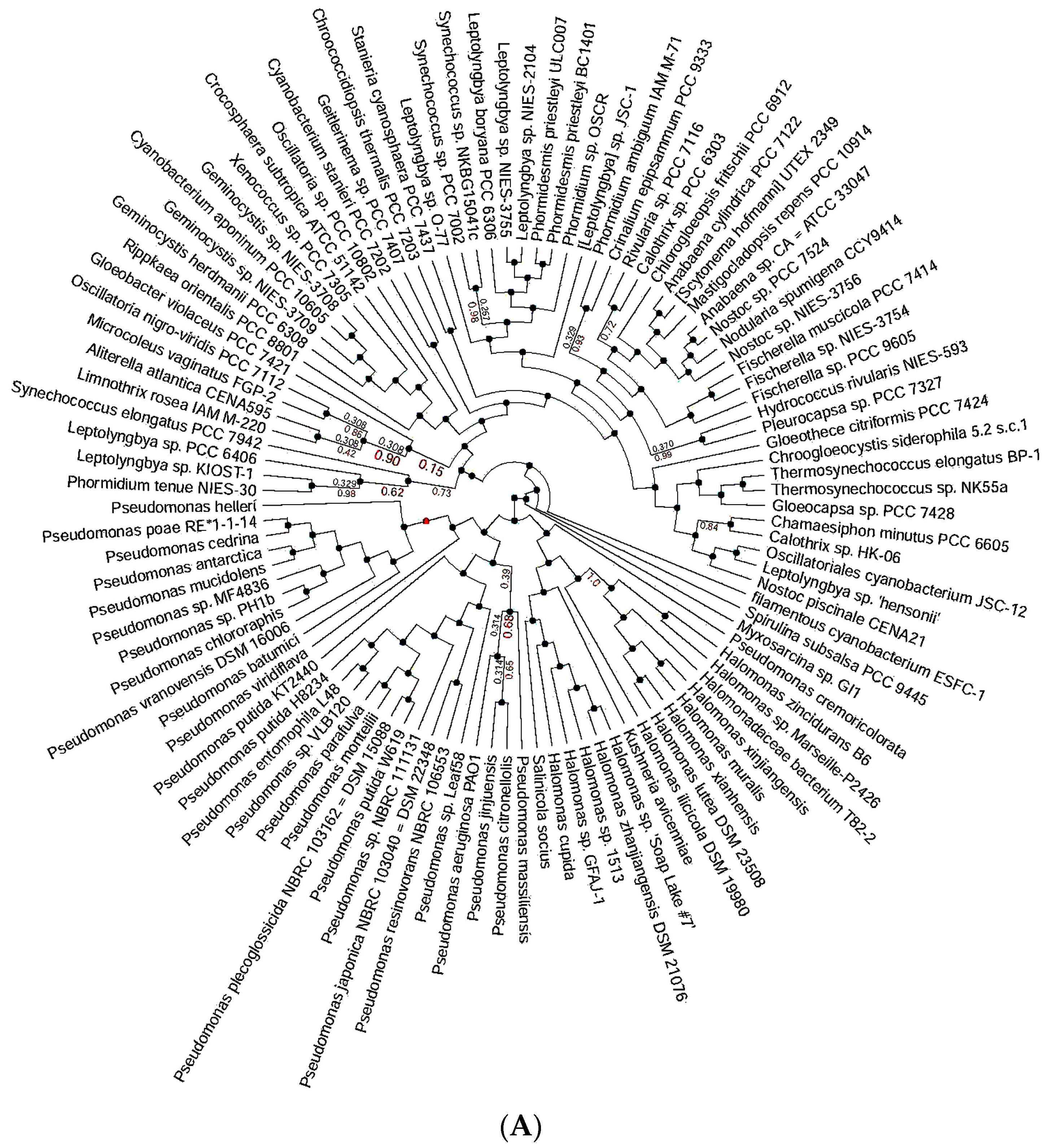 Toxics 11 00864 g002a