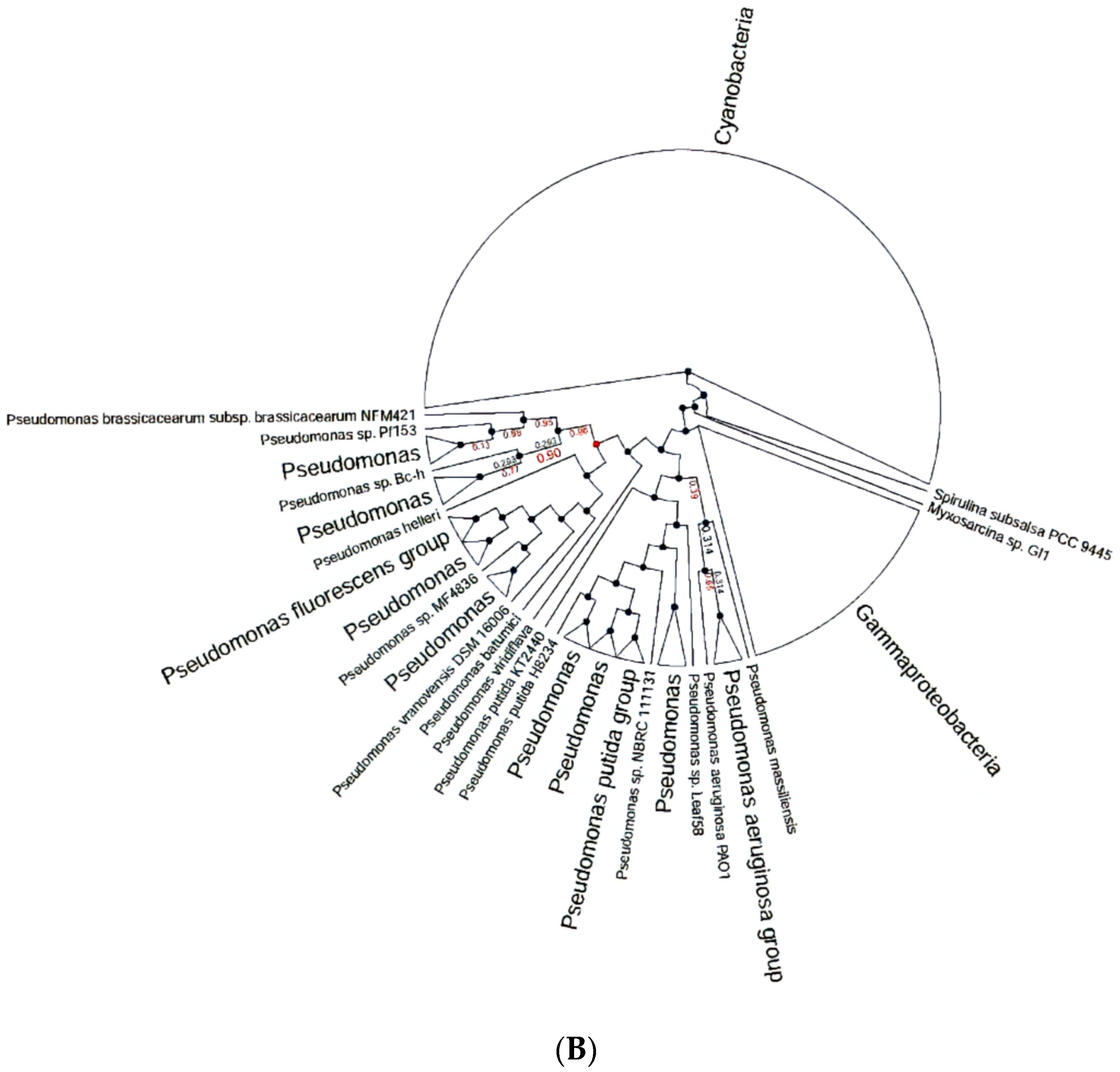 Toxics 11 00864 g002b