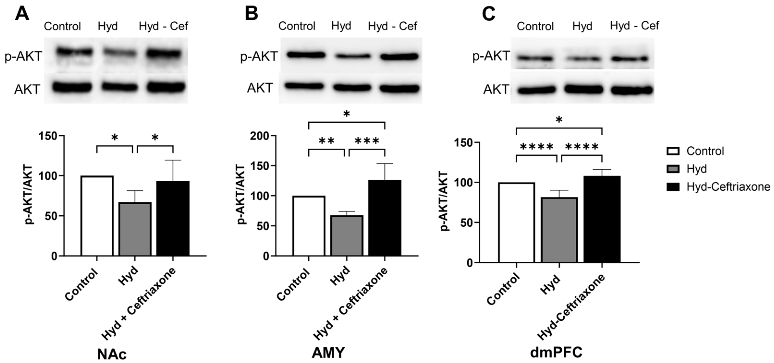 Toxics 11 00870 g005