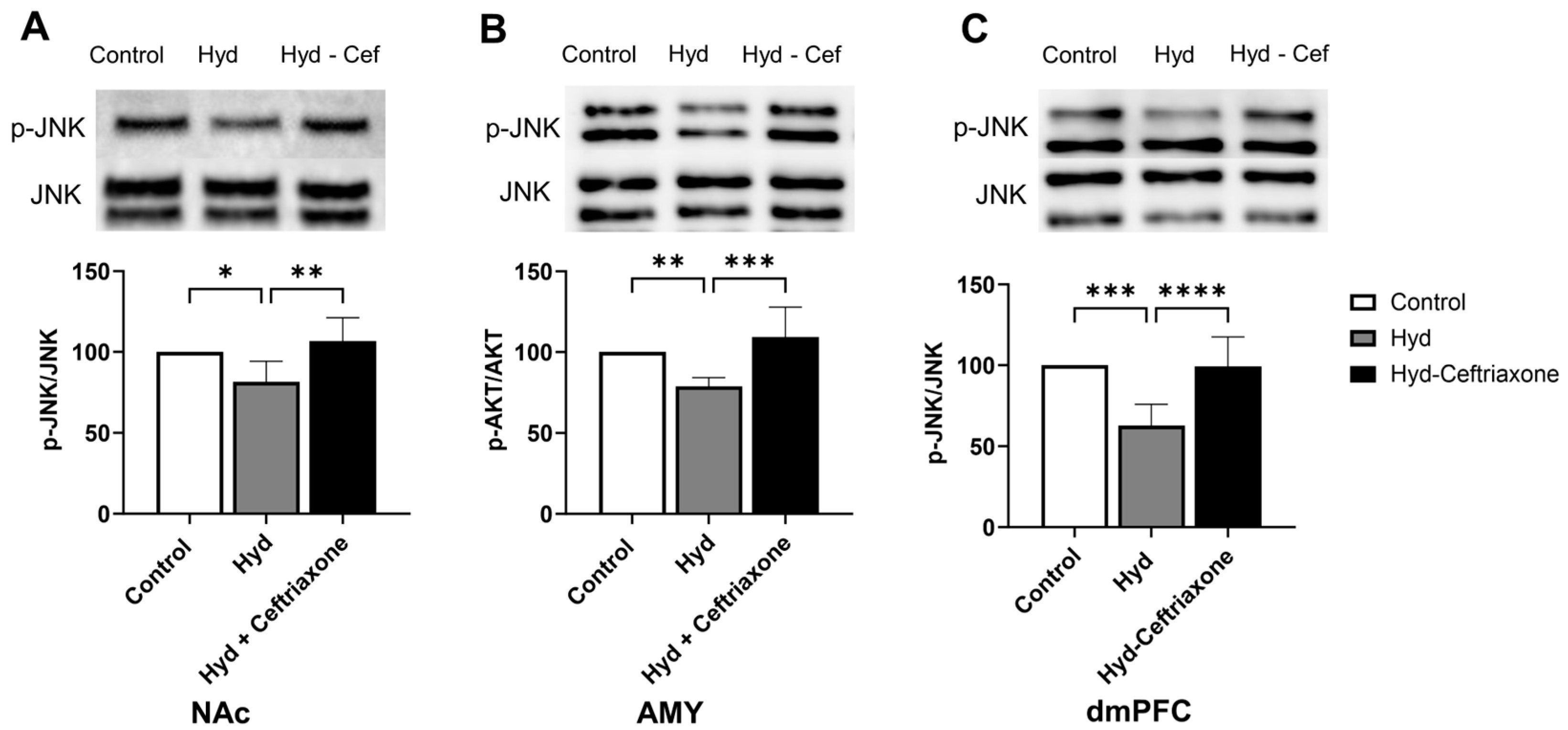 Toxics 11 00870 g006