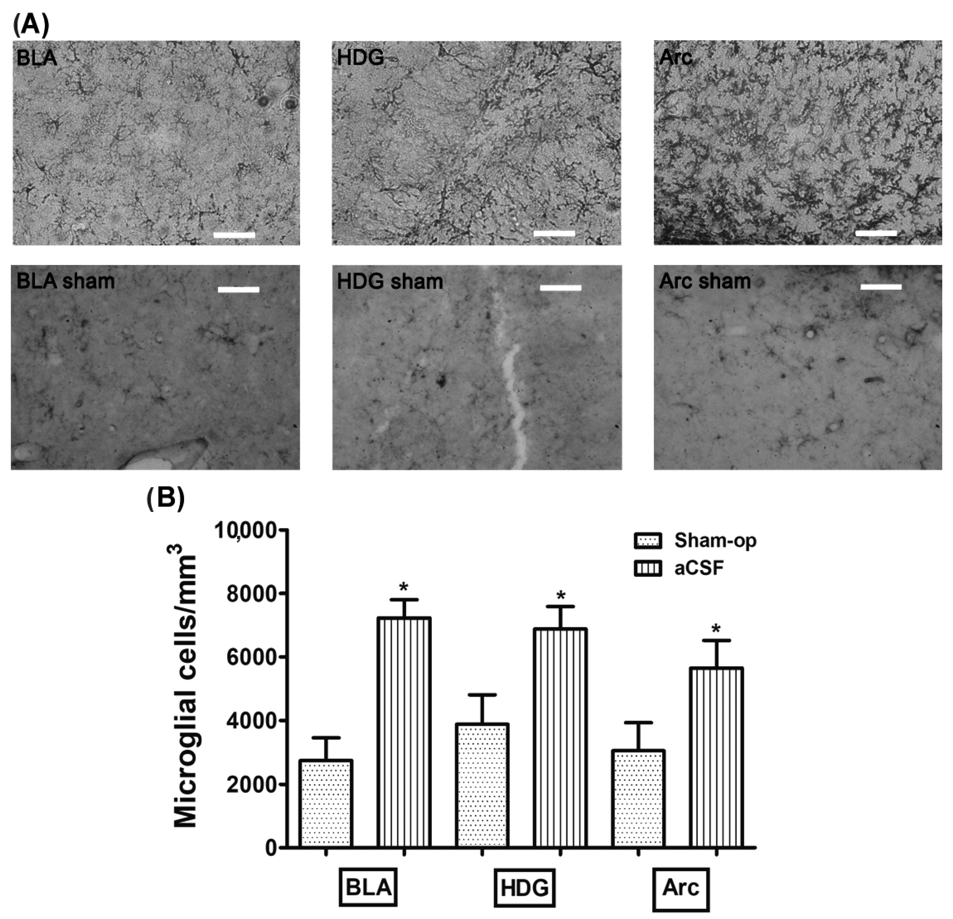 Toxics 11 00871 g001 Toxics 11 00871 g001