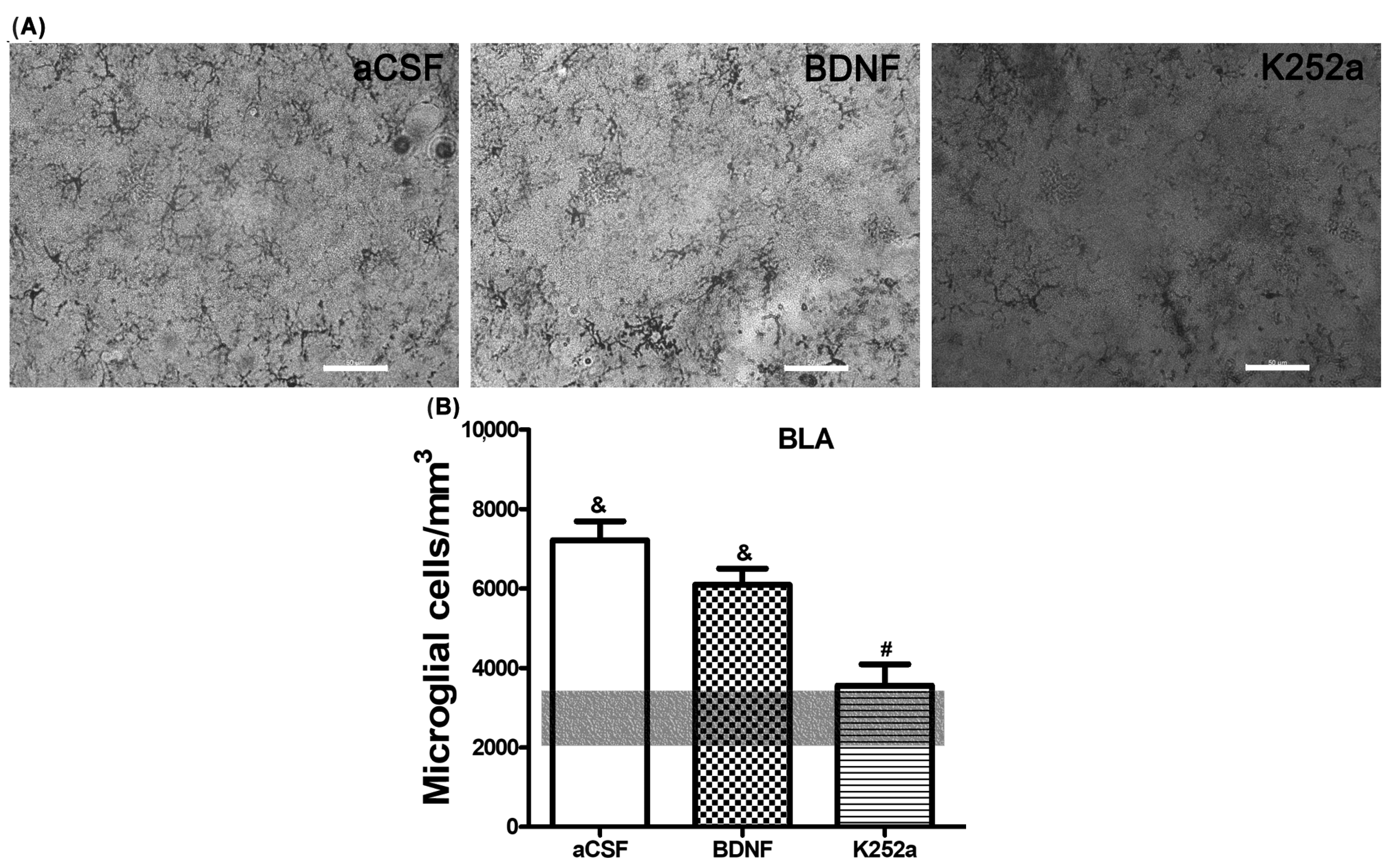 Toxics 11 00871 g002 Toxics 11 00871 g002