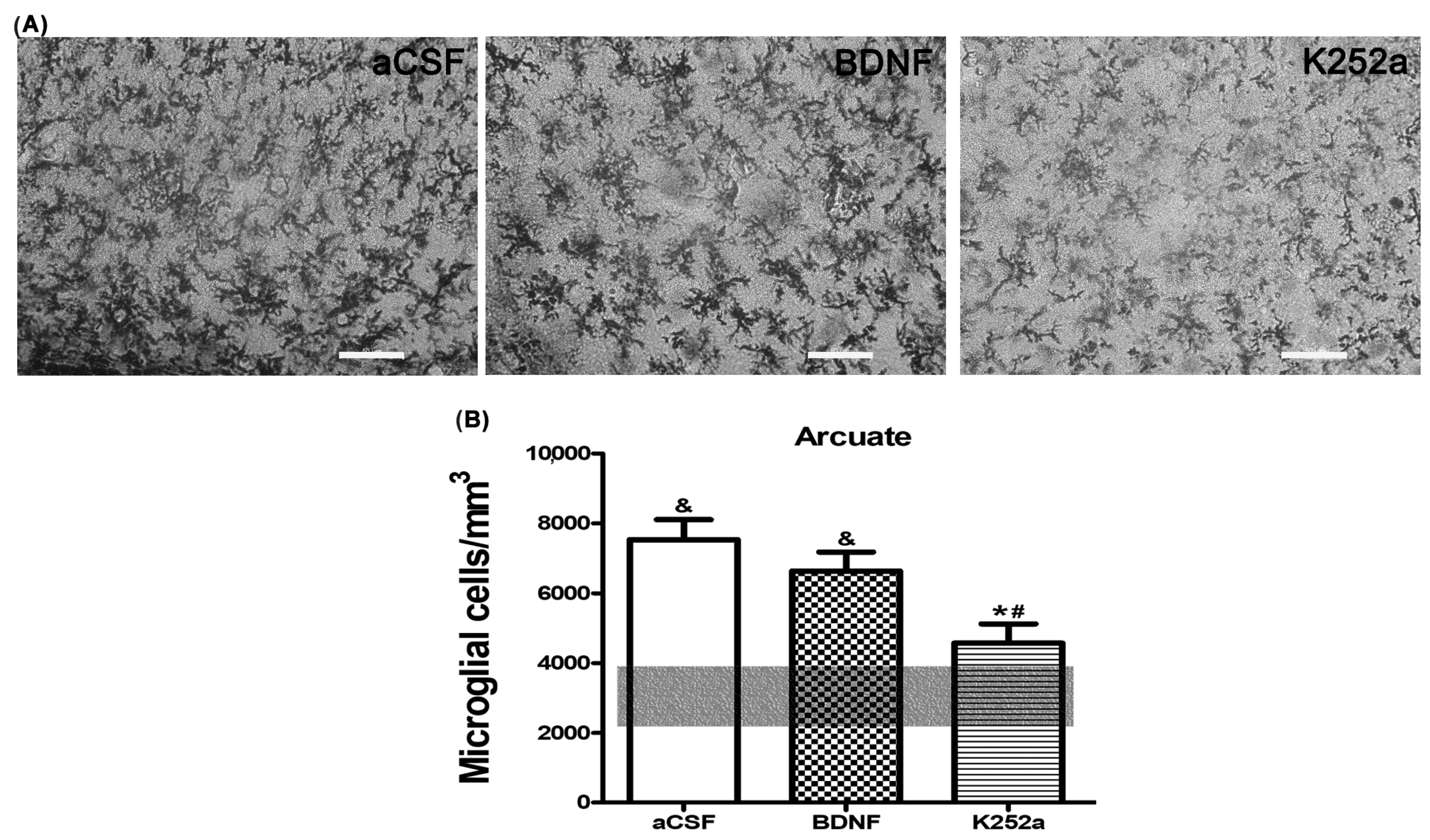 Toxics 11 00871 g006 Toxics 11 00871 g006
