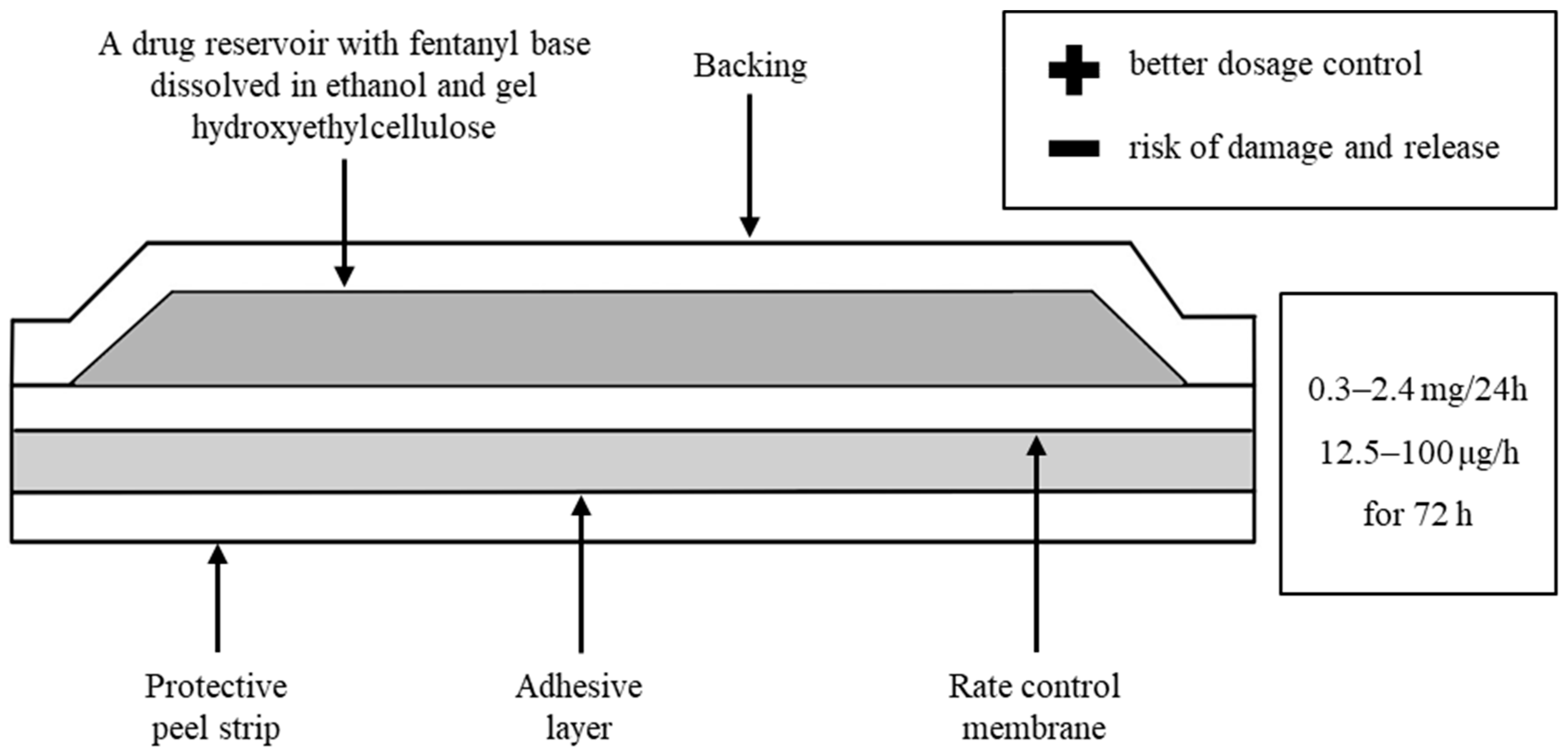 Toxics 11 00872 g002