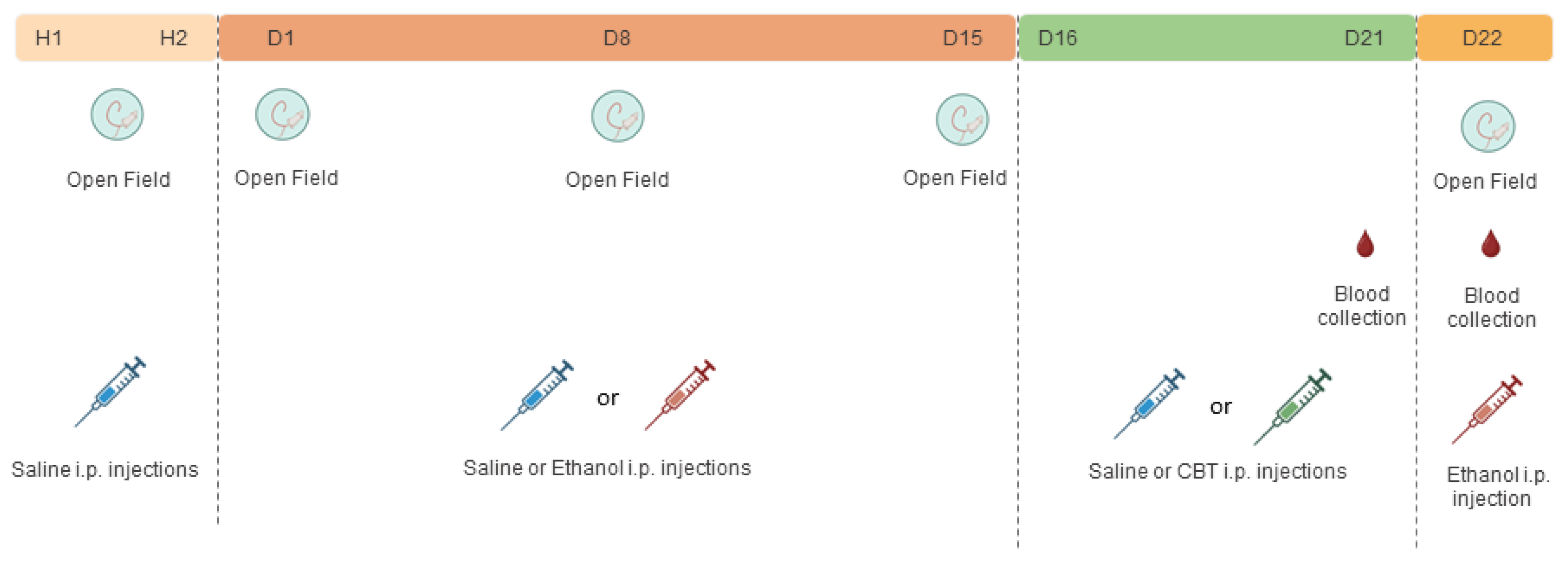 Toxics 11 00893 g001