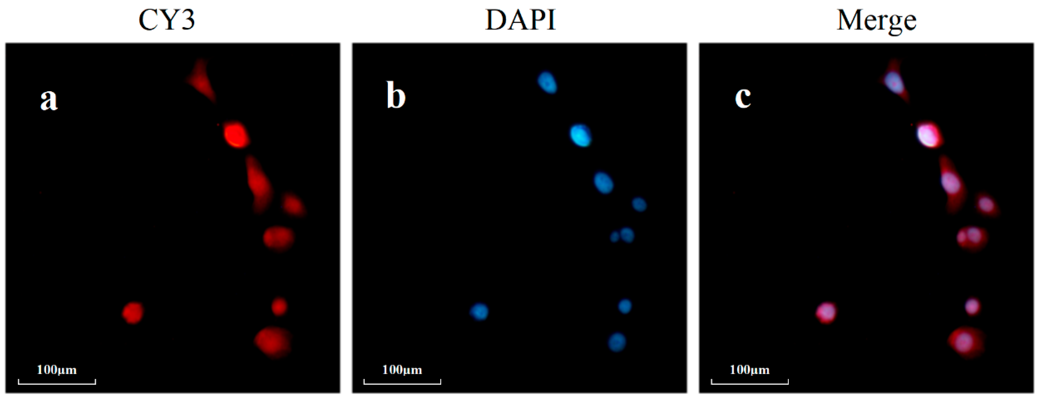 Toxics 11 00906 g006