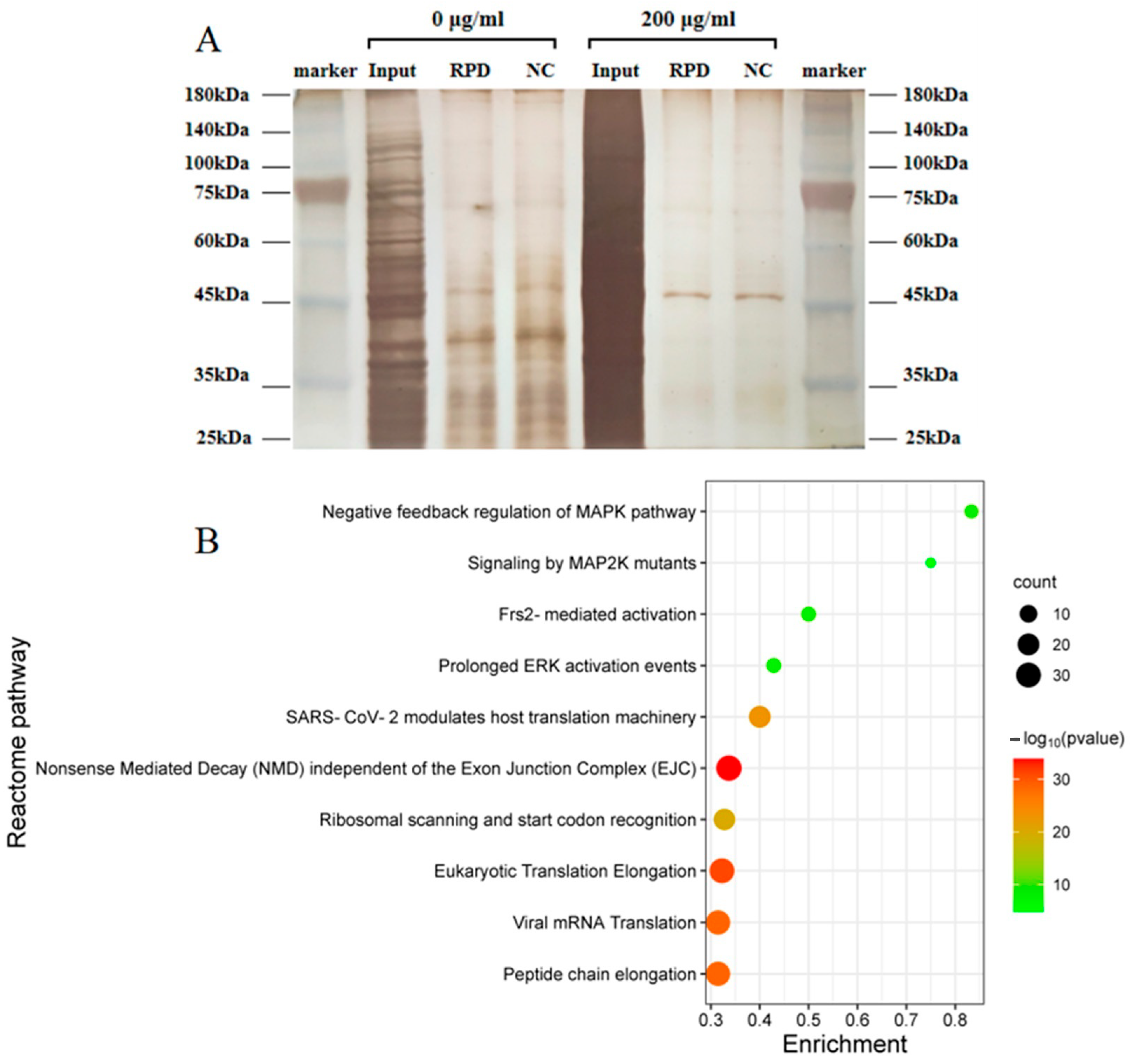 Toxics 11 00906 g009