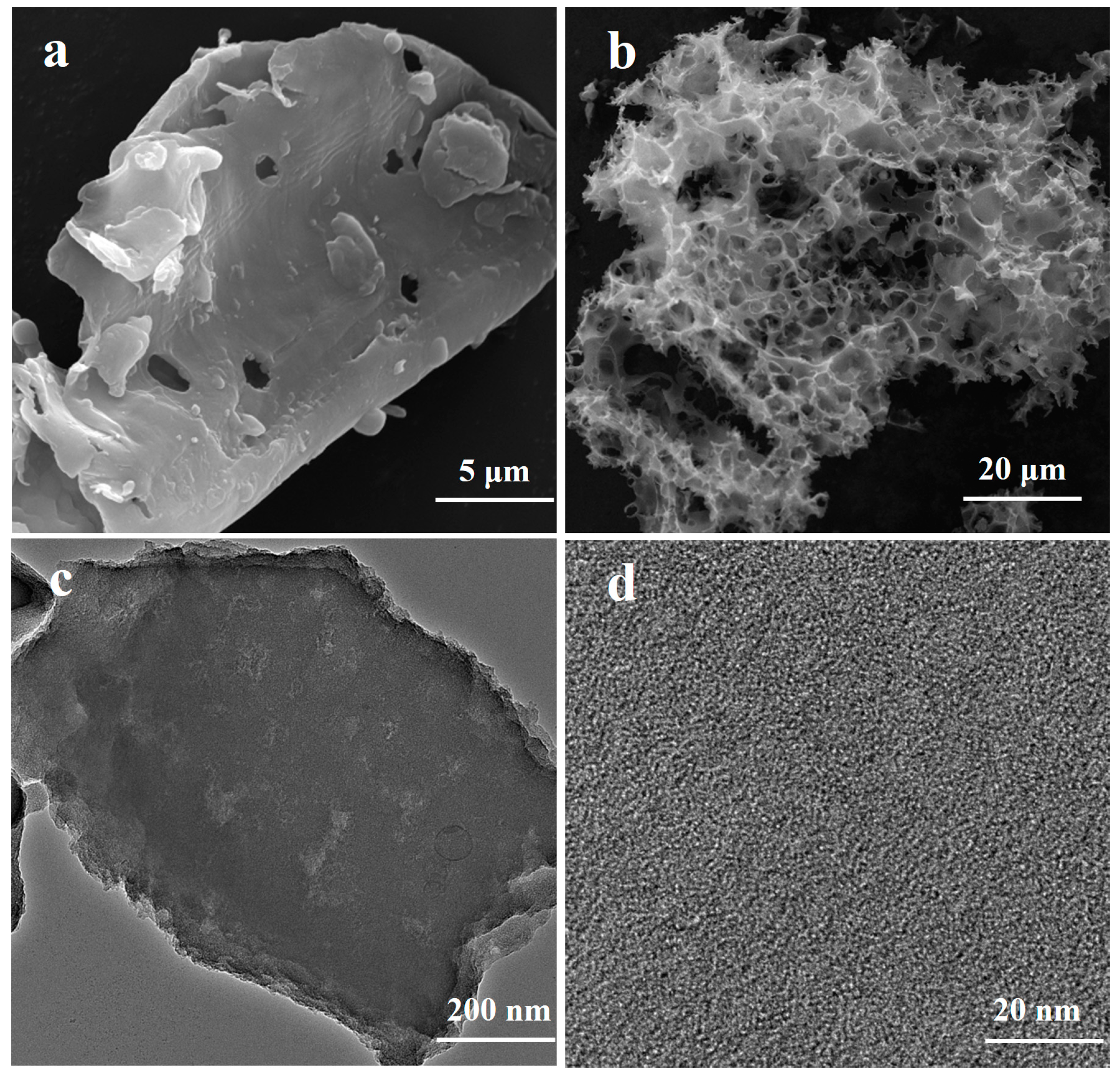 Toxics 11 00908 g002