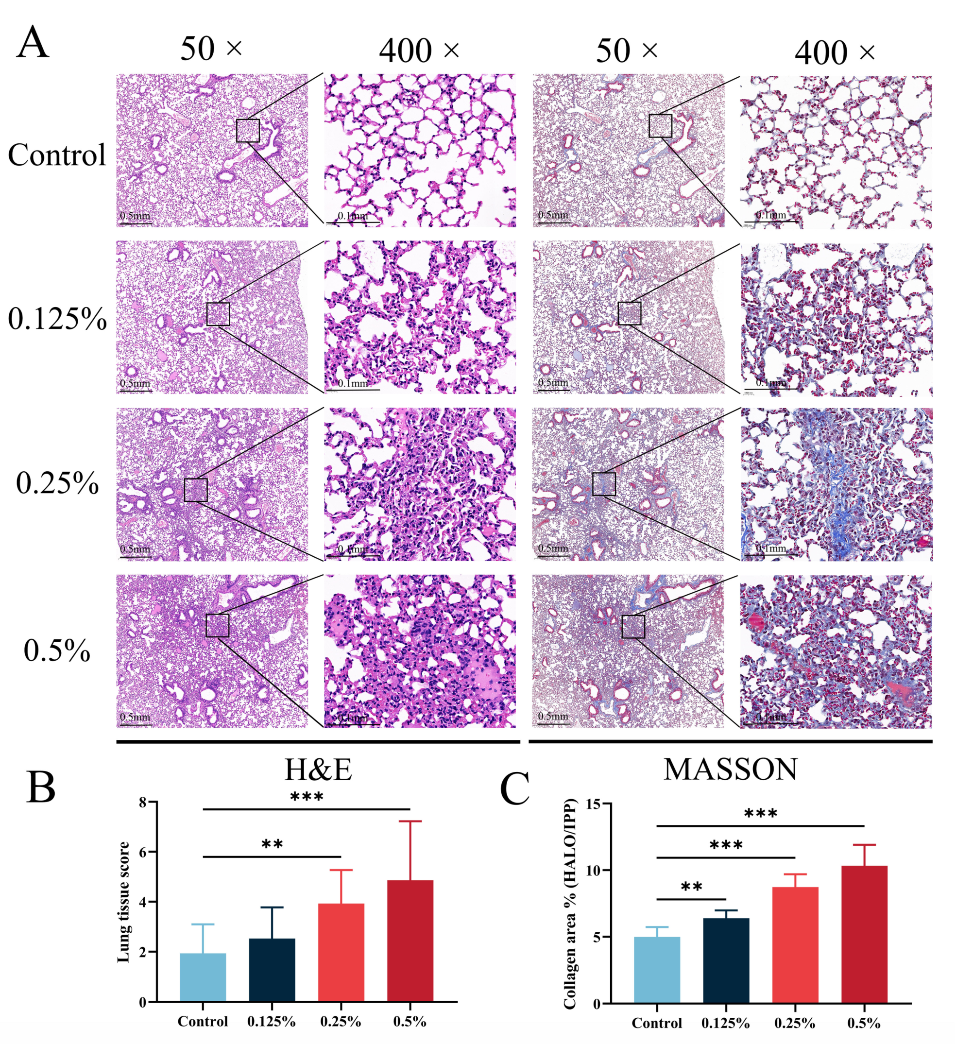 Toxics 11 00910 g002