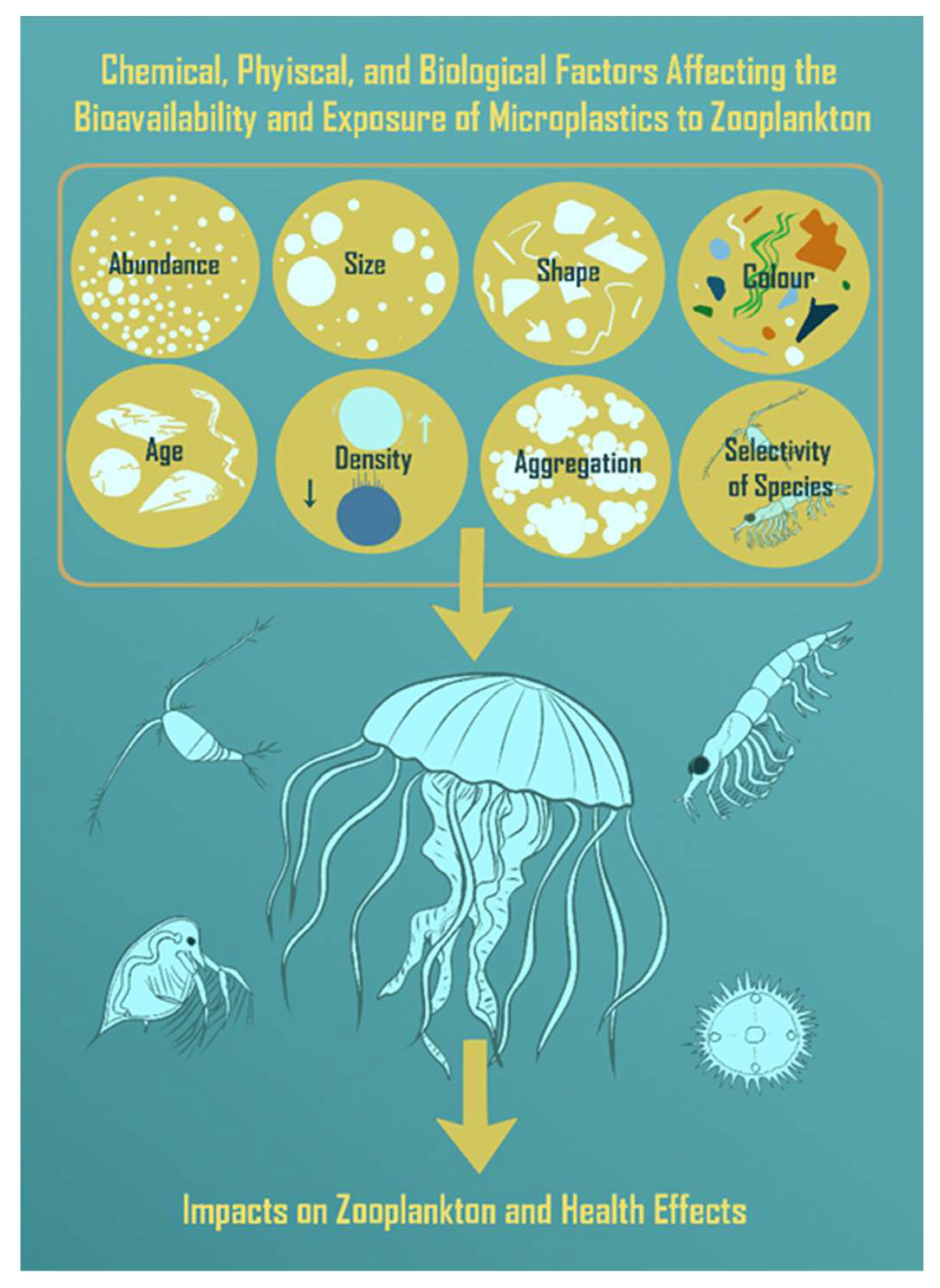 Toxics 11 00935 g001