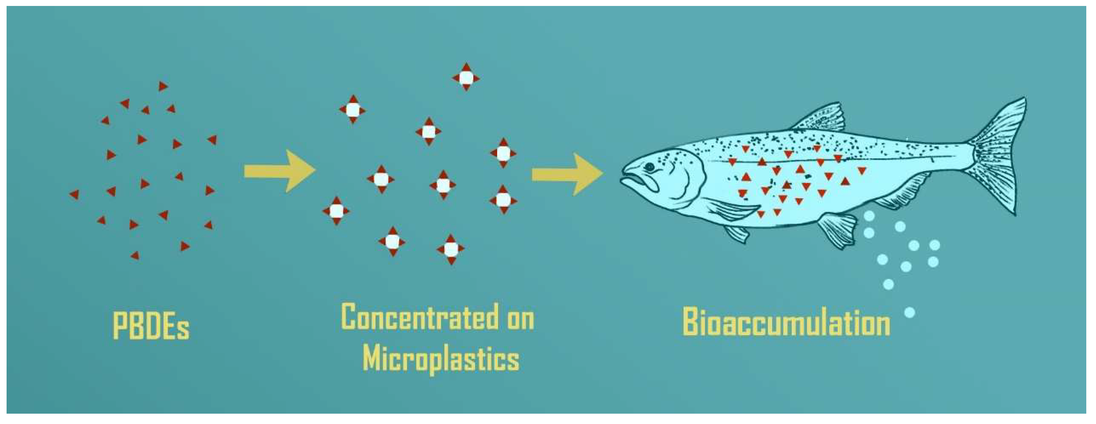 Toxics 11 00935 g002