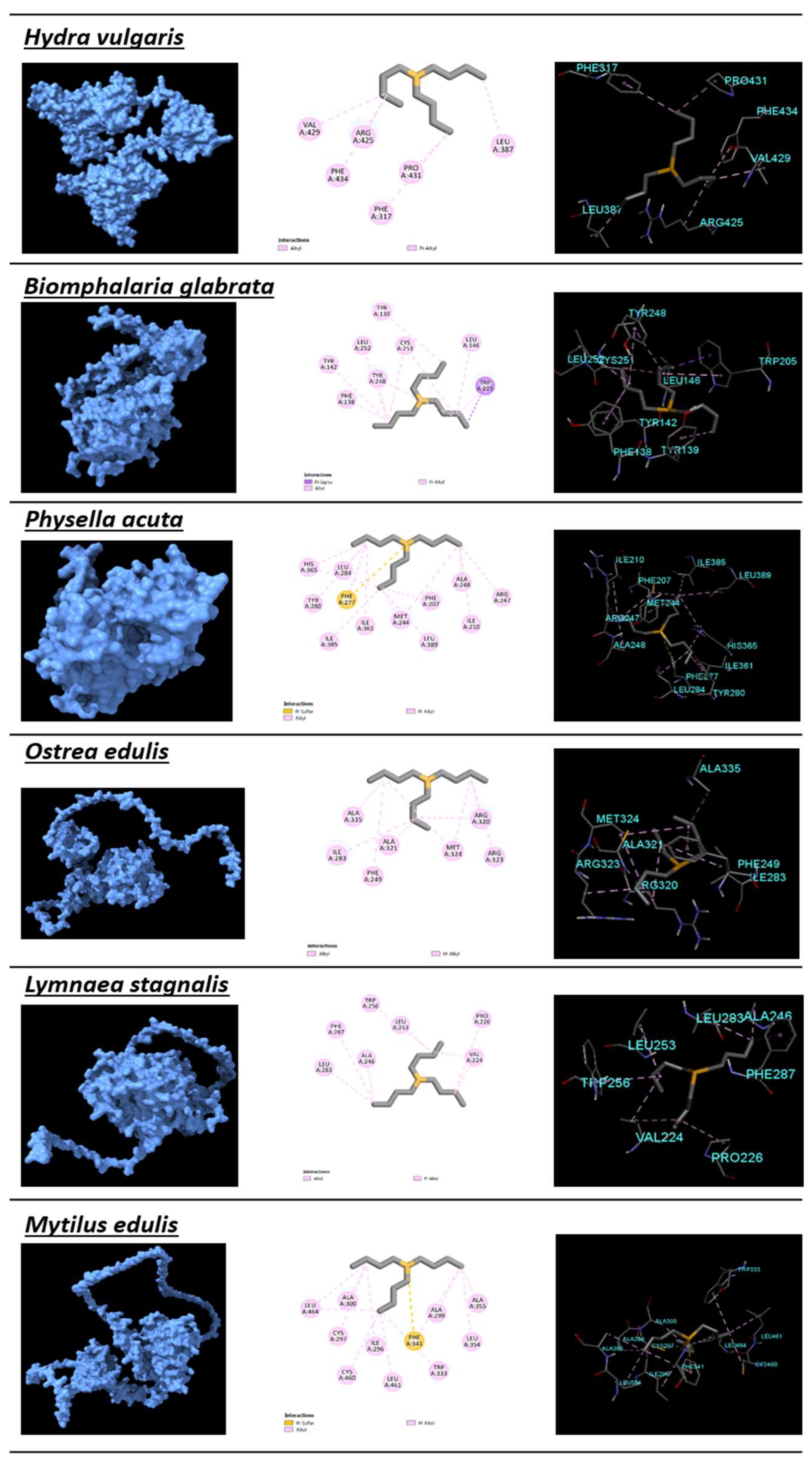Toxics 11 00937 g004a Toxics 11 00937 g004a