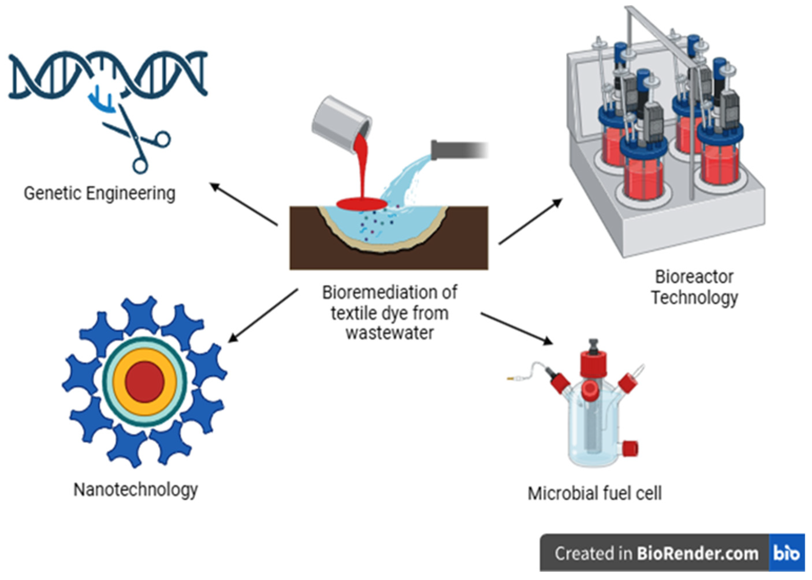 Toxics 11 00940 g002