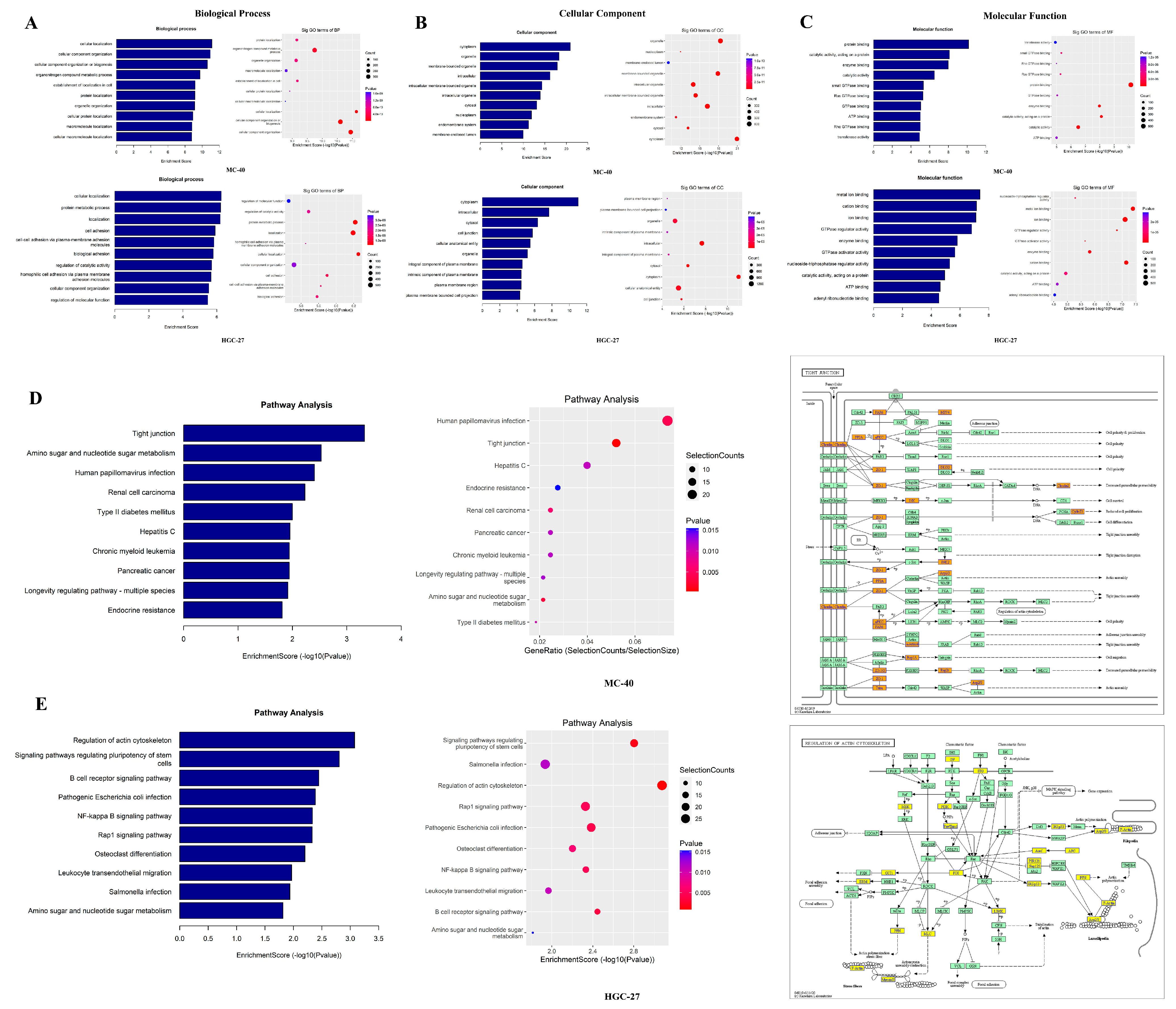 Toxics 11 00944 g003