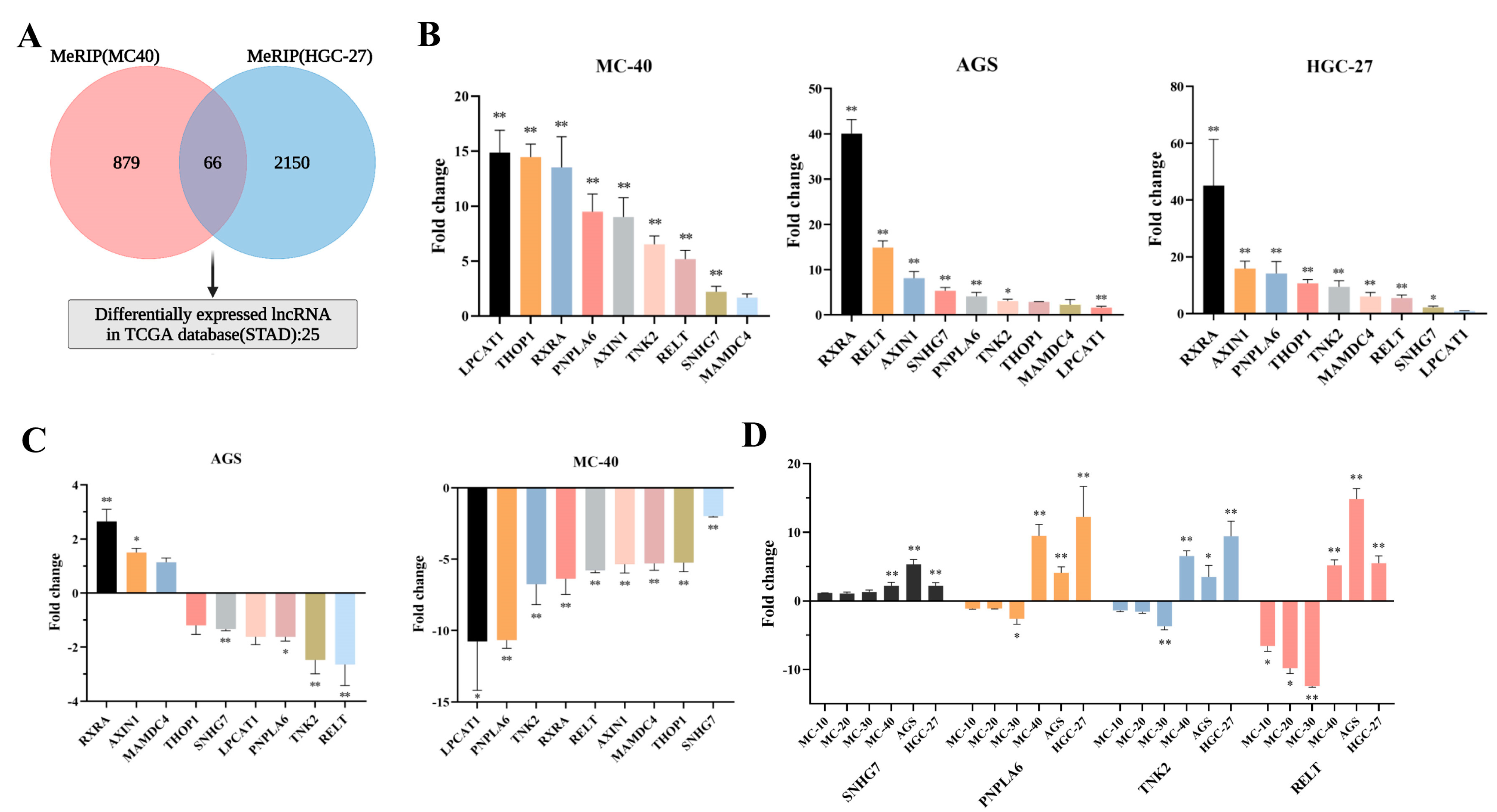 Toxics 11 00944 g004