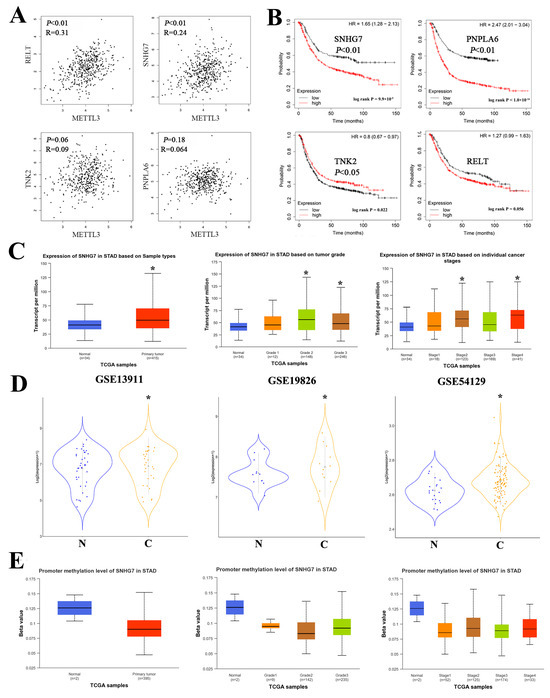 リップ Frontiers | Deciphering Epitranscriptome: Modification of